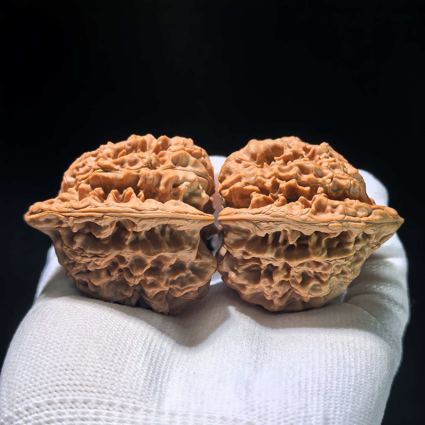 The "Grand Guanmao" Concave-Base Matched Pair | 50.0mm x 44.0mm | DGM-1202C