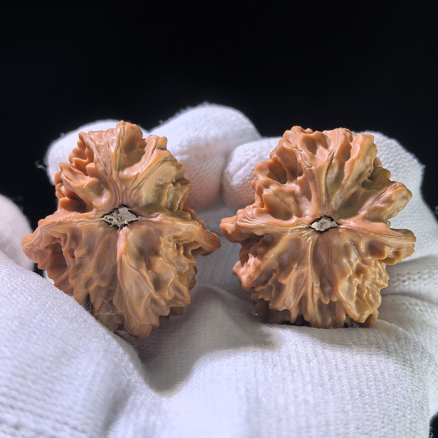 The "Dolphin" (Xiao Hai Tun) Rare Morphological Pair | 32.0mm x 33.0mm | XHT-1202E