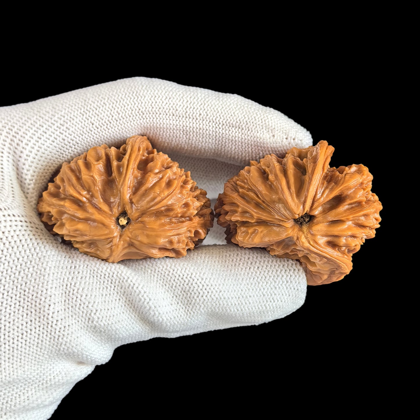 The "Half-Wall White Lion" (Banbi Bai Shizi) Pair | 42.0mm | BBBSZ-03