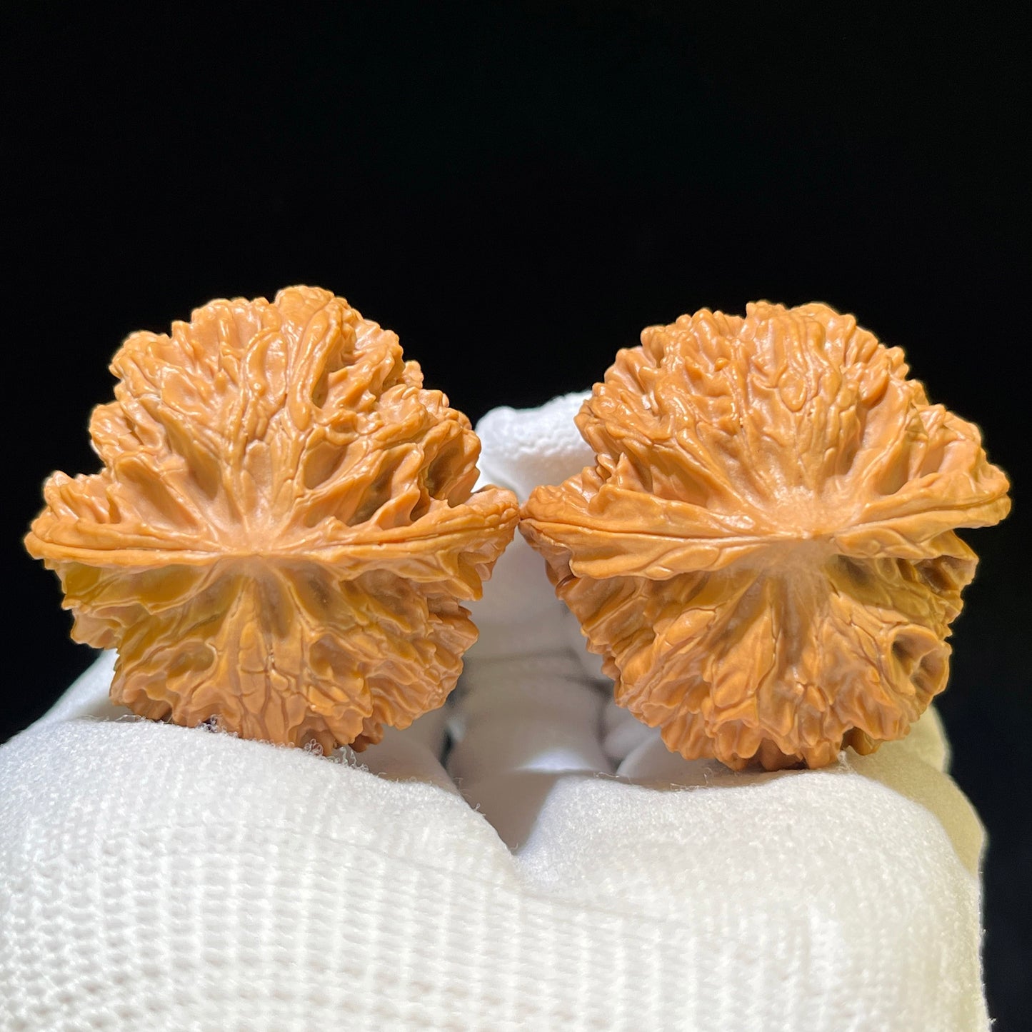 "Apple Garden" Pingguoyuan Wenwan Walnuts (Pair) | 40.0mm x 40.0mm | Stock ID: PGY-1105