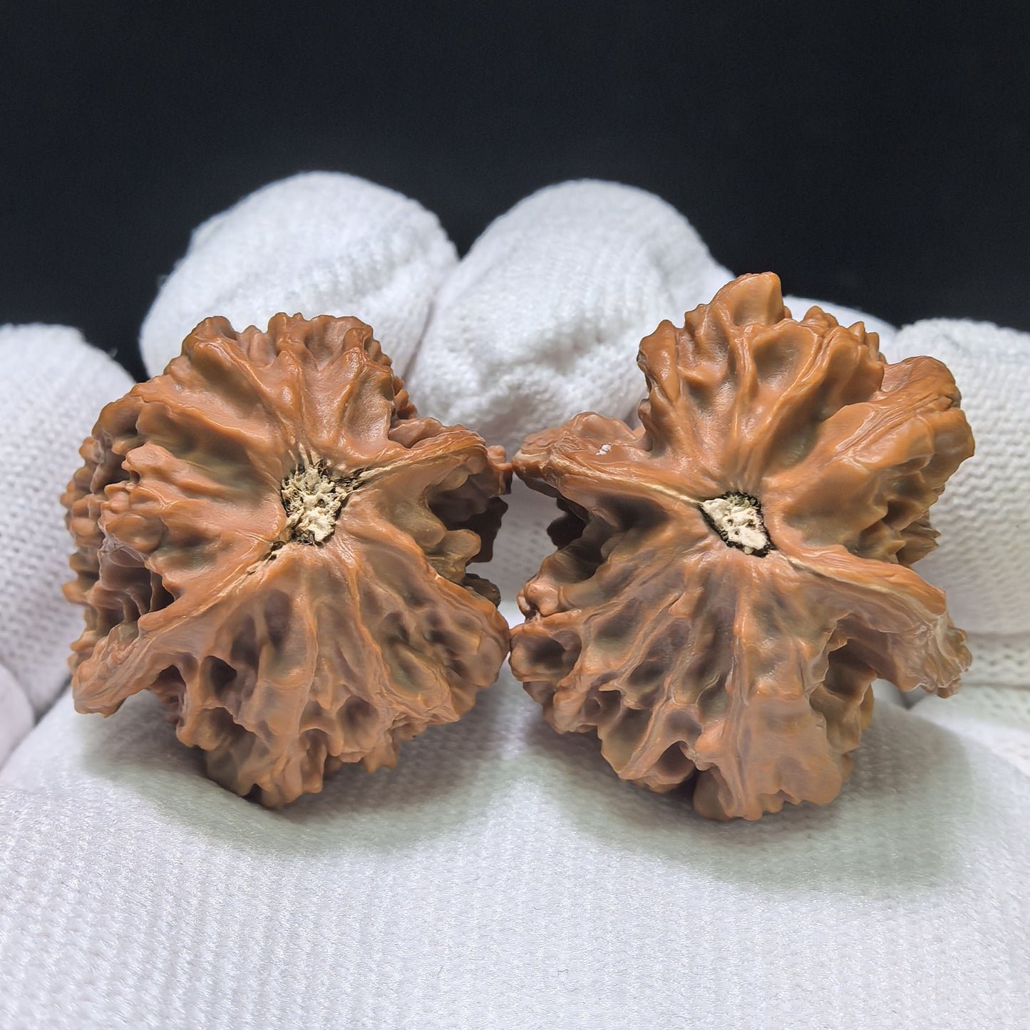 The Whimsical "Mandarin Duck Little Bird" Yuanyang Xiaoniao Pocket Masterpiece | 31.0mm x 30.0mm | YYXL-401E