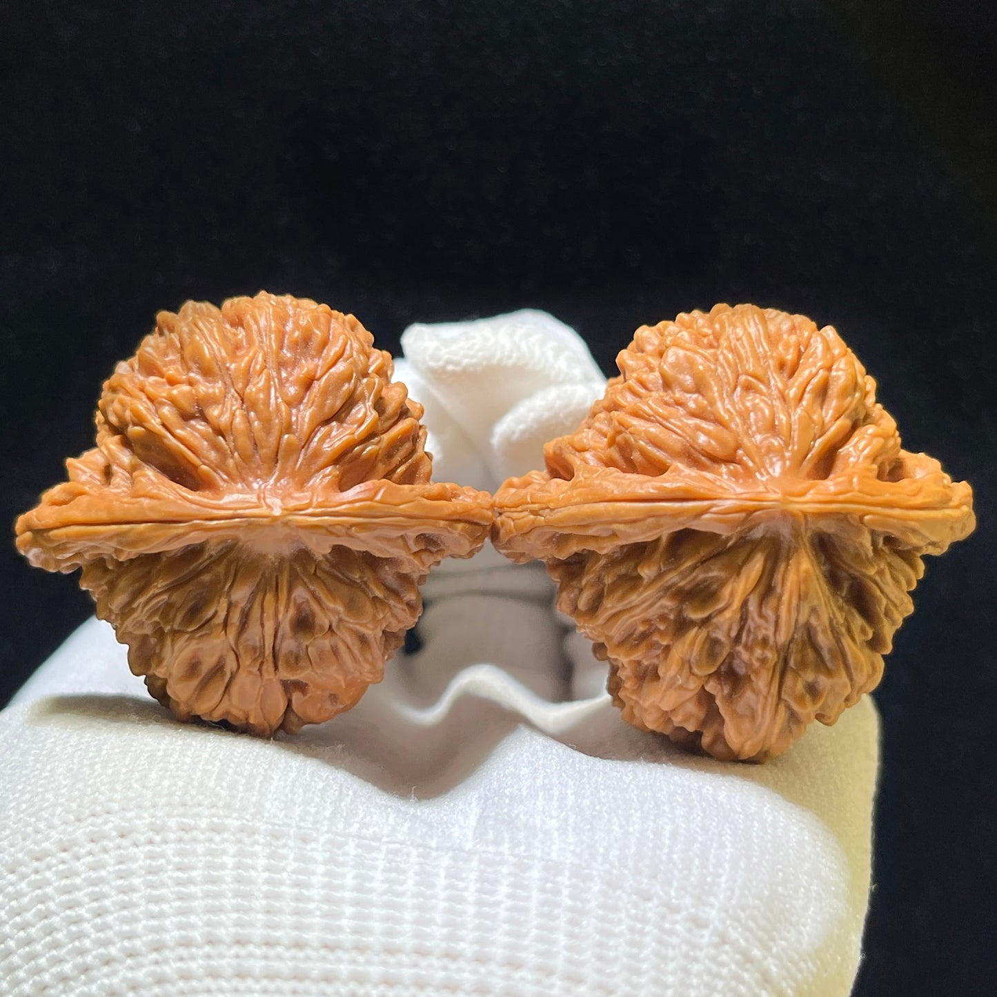 Sizuolou Scholar Walnuts Pair | 42.0mm x 41.0mm | Stock ID: SZL-1102