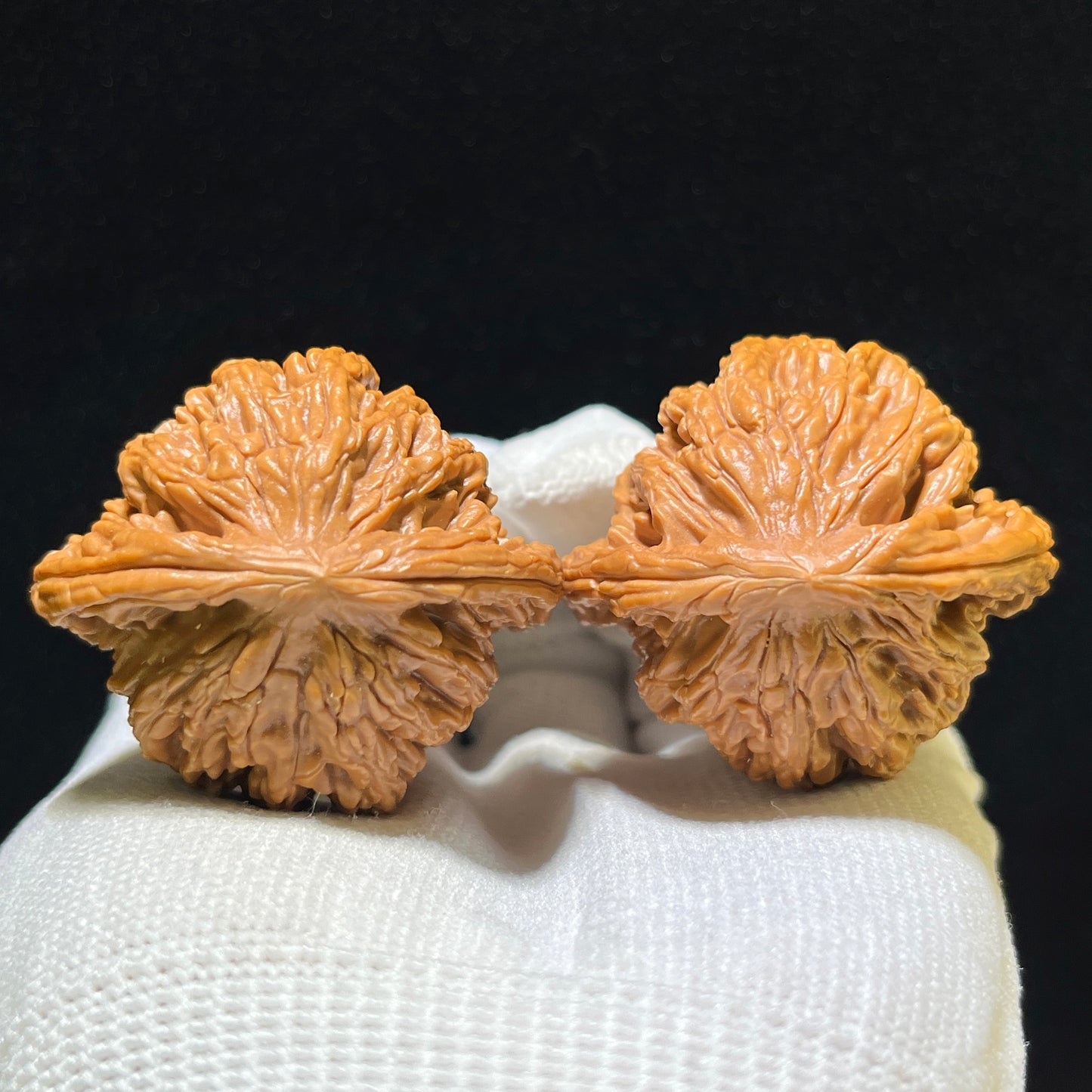 Mai Sui Hu Tou (Wheat Ear Tiger Head) Scholar Walnuts Pair | 41.0mm x 38.0mm | Stock ID: MSHT-1101