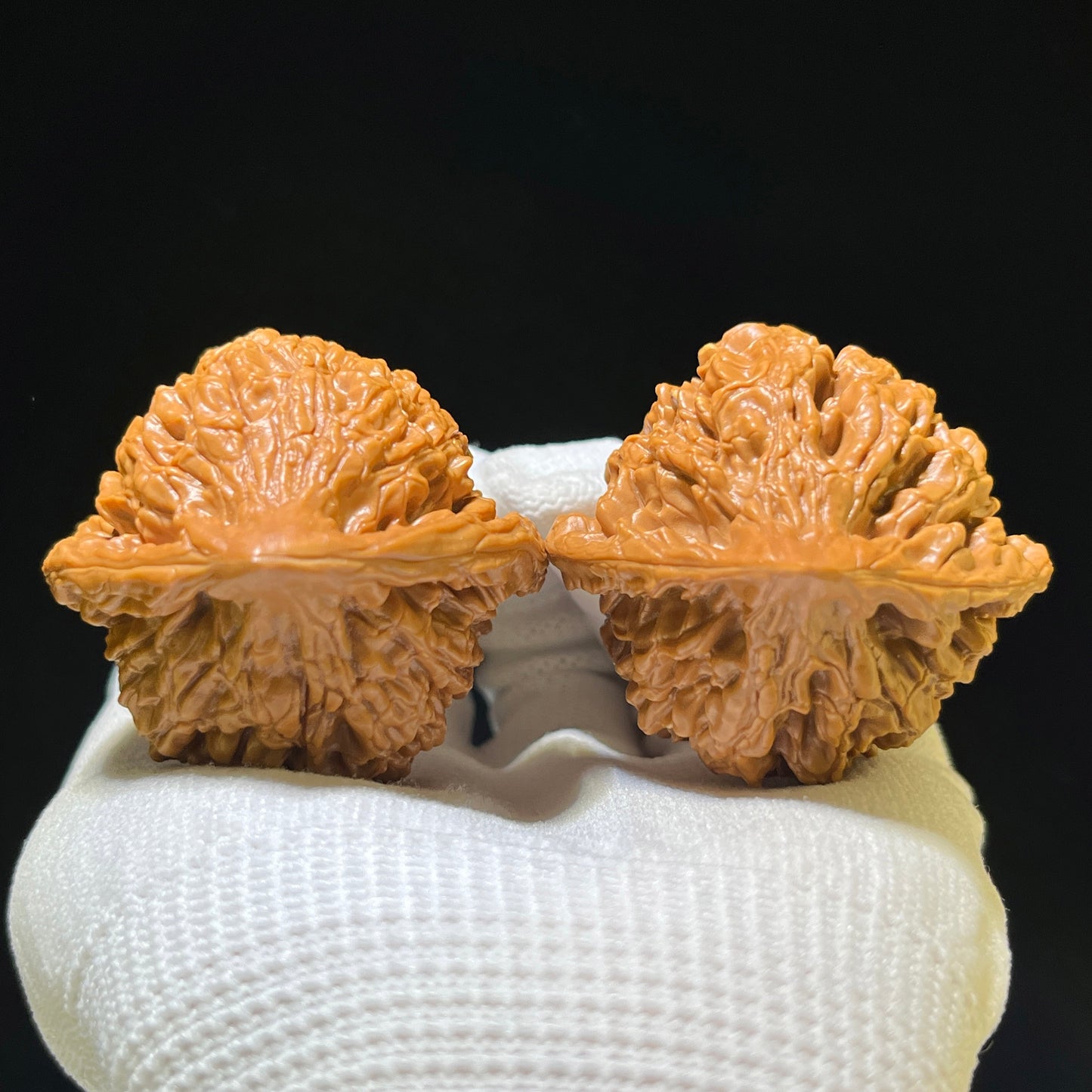 The Illustrious "Official Hat" Guanmao Premium Pair | 46.0mm x 43.0mm | GM-1104