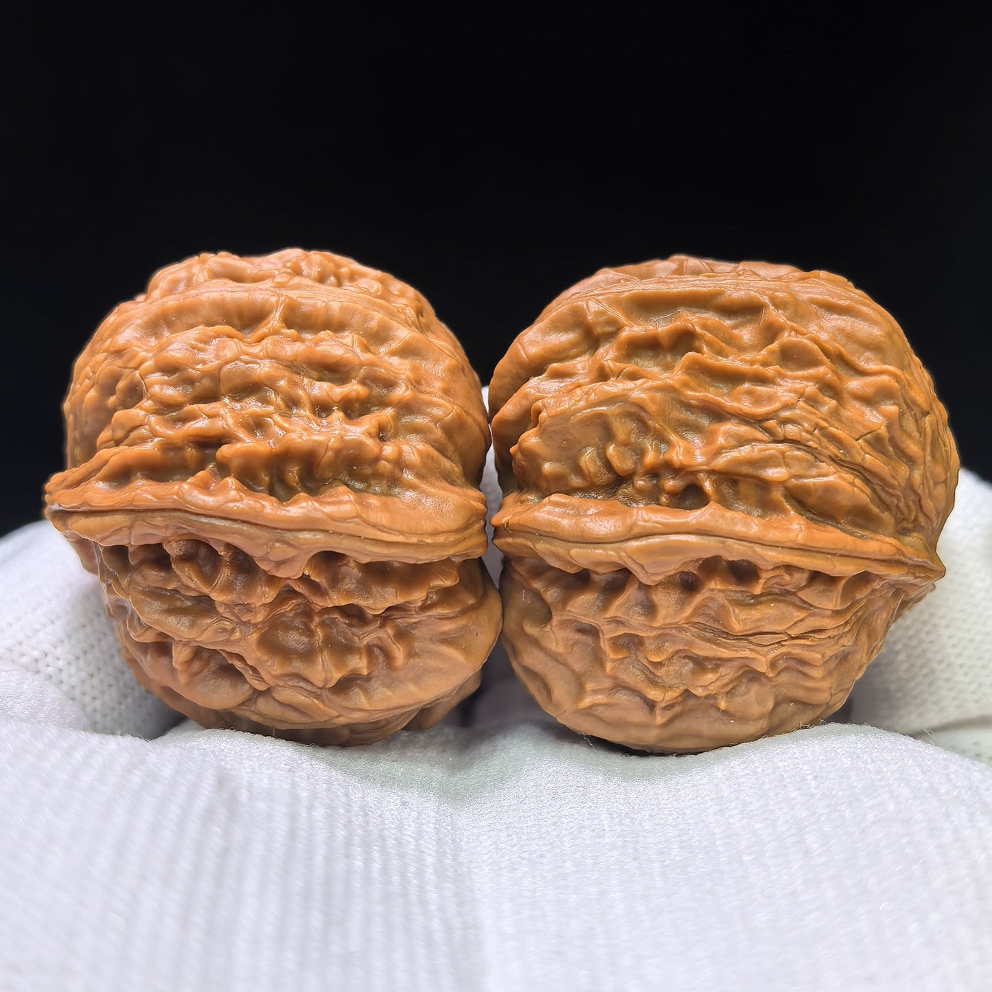 The Illustrious "White Lion Head Half-Wall Turtle Shell" Baishizi Banbi Wuguibei Pocket Masterpiece | 33.0mm x 37.0mm | BSJBB-405E