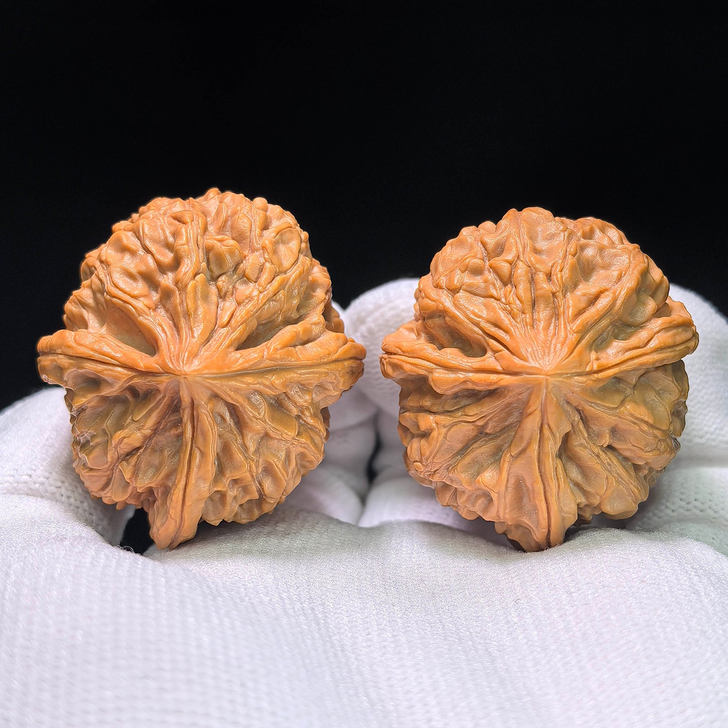 The Royal Three-Ridge "Ding" Wangxi Masterpiece | 37.0mm x 41.0mm | YXSZTSN-1401E