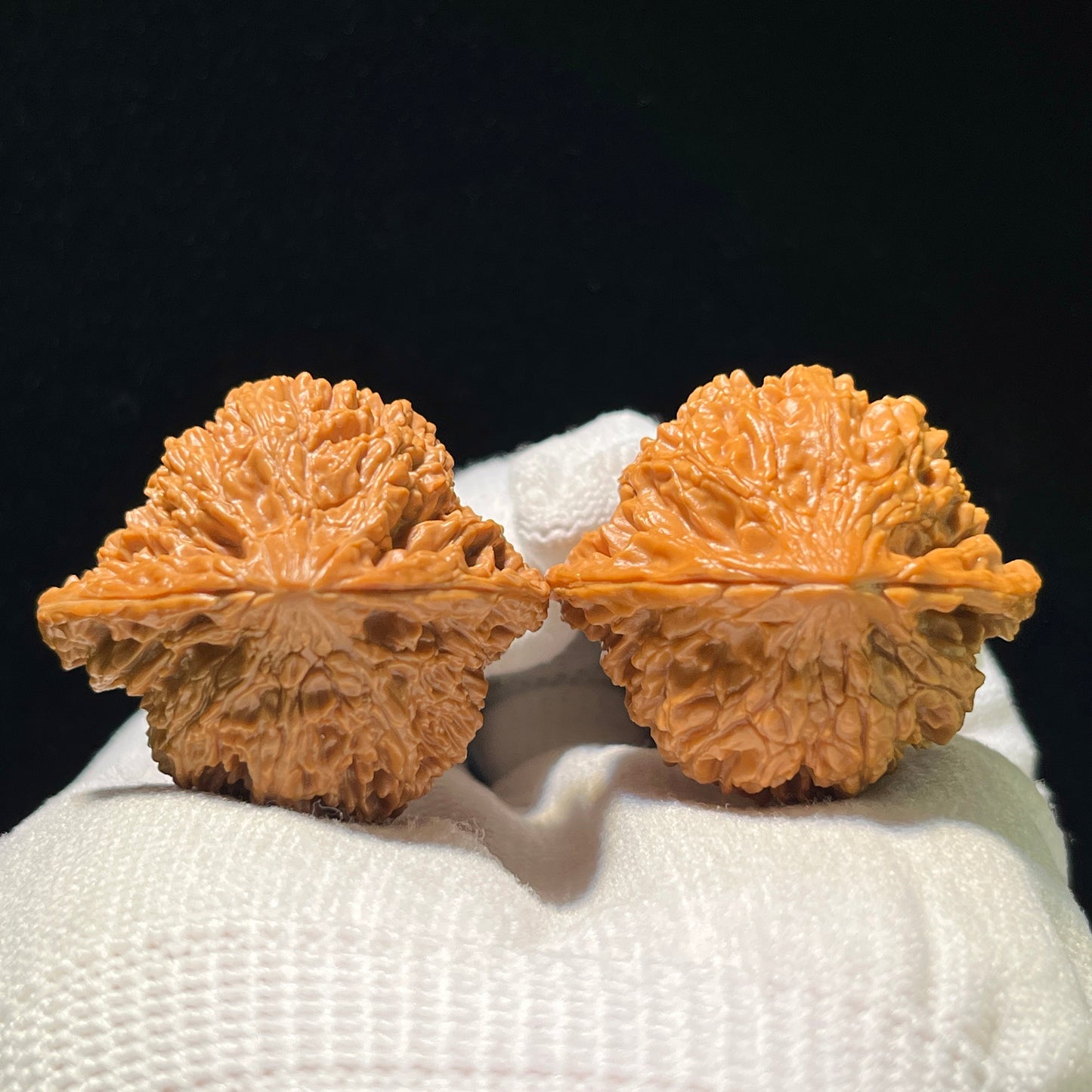 Man Tian Xing (Sky Full of Stars) Scholar Walnuts Pair | 38.0mm x 34.0mm | Stock ID: MTX-1104