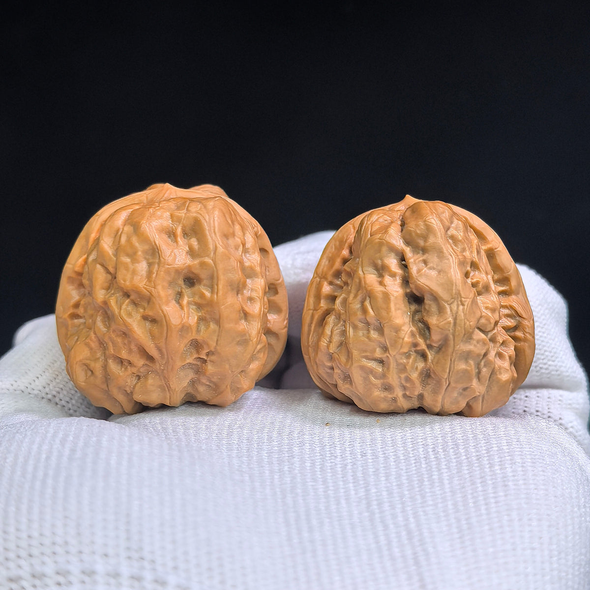 Compact Broad-Shouldered Toad Head Wenwan Walnut Pair | 35.0mm x 37.0mm | HMT-SY1H6