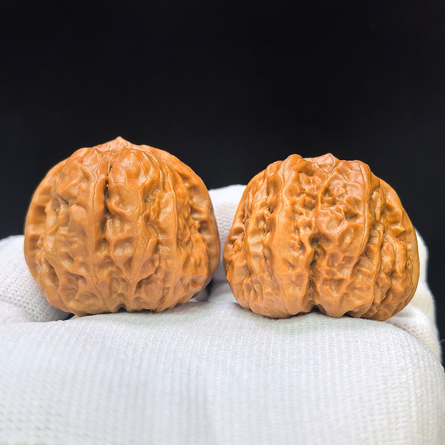 "Toad Head" (Ha Ma Tou) Scholar Walnuts Pair | 38.0mm x 42.0mm | Deep-Belly Low-Profile Stance | S+ Grade | Stock ID: HMT-1505C