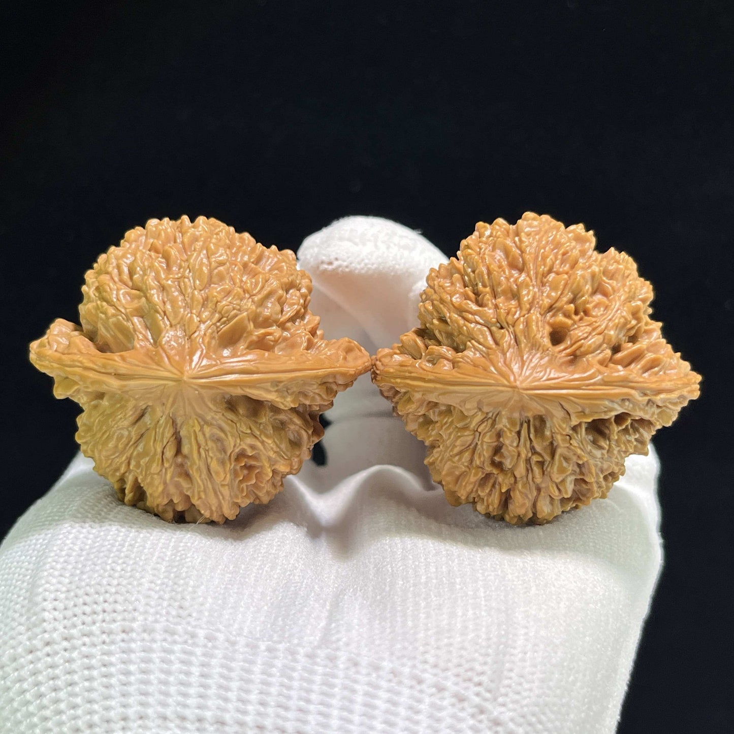 The "Starry Sky" (Man Tian Xing) Giant Aggressive Pair | 43.0mm x 40.0mm | MTX-901