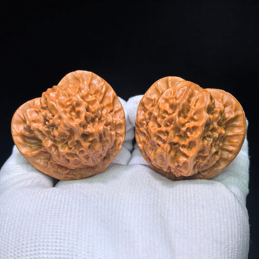 The "Heart-Profile Porcelain Doll" (Ci Wa Wa) Premium Low-Profile Pair | 43.0mm x 40.0mm | BB-Size Standard | CWW-1301C