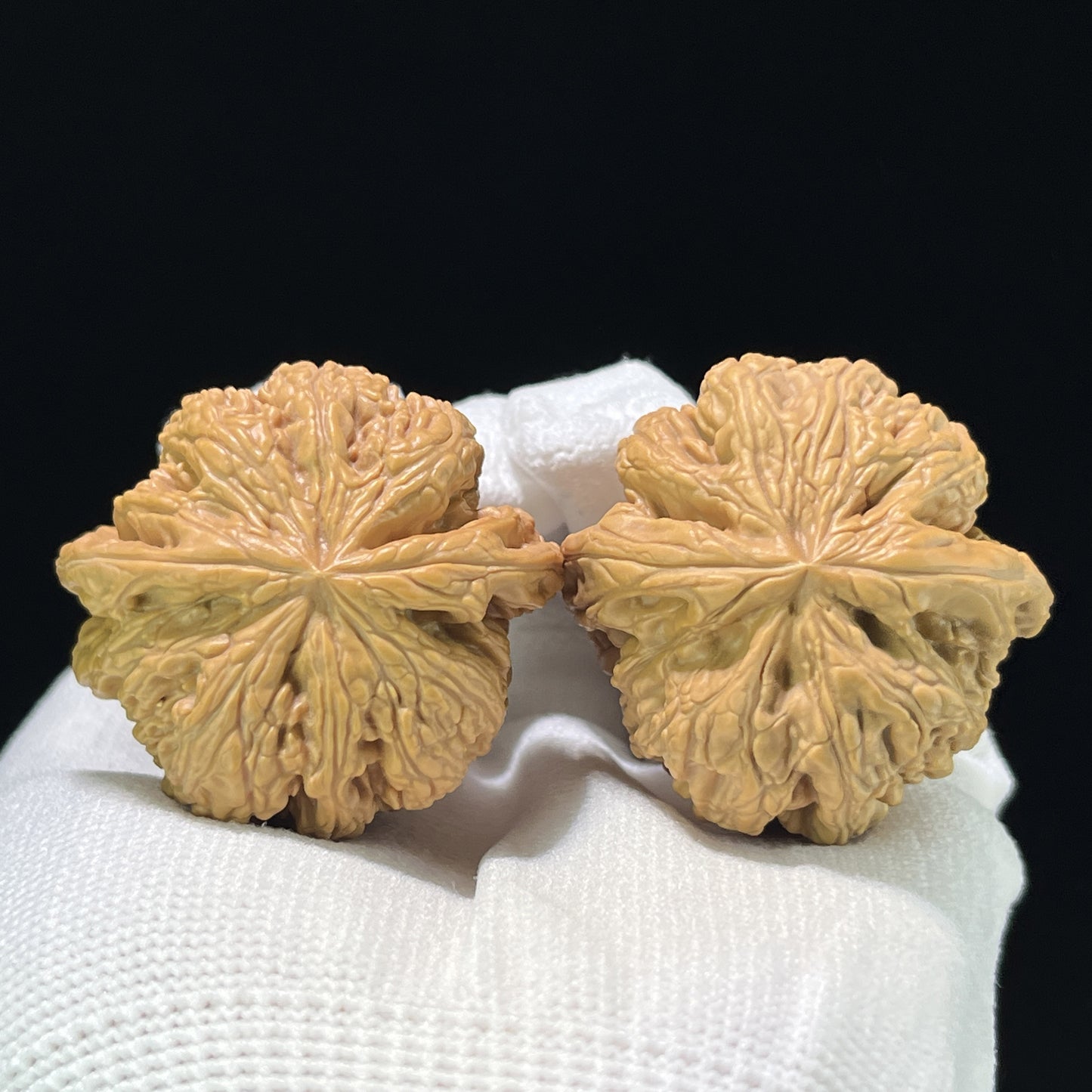 The "Thick Vein" (Cu Jin) Balanced Giant Pair | 40.0mm x 39.0mm | CJ-811