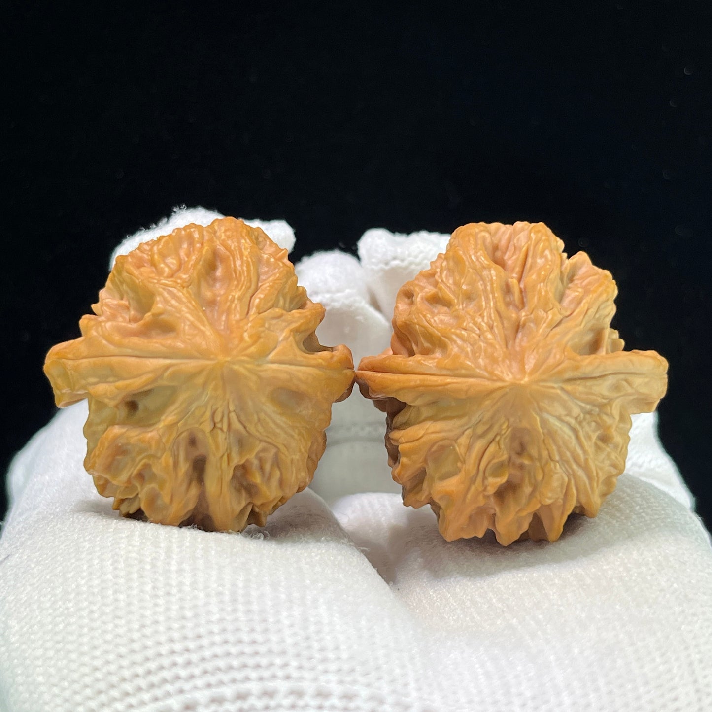 "Cao Dalong" Wenwan Walnuts (CDLTCJ-1001) - 35mm x 37mm "Heavenly Deviant" Wild Mountain Collection, High-Density Collector Specimen, Zen Stress Relief