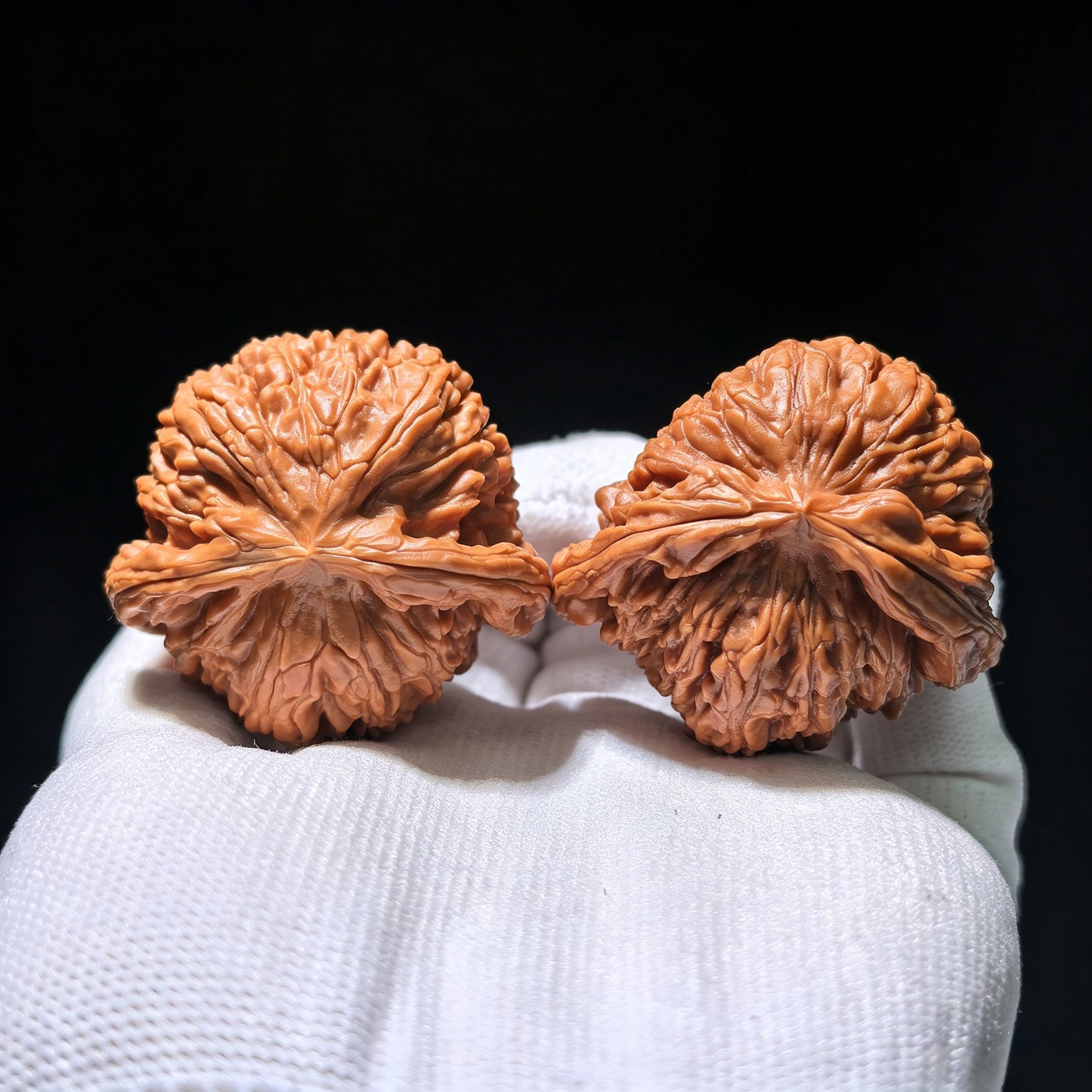 The Rare "White Lion Shun Feng Ear" Half-Wall (Ban Bi) | 43.0mm x 40.0mm | SJSFBB-1202E