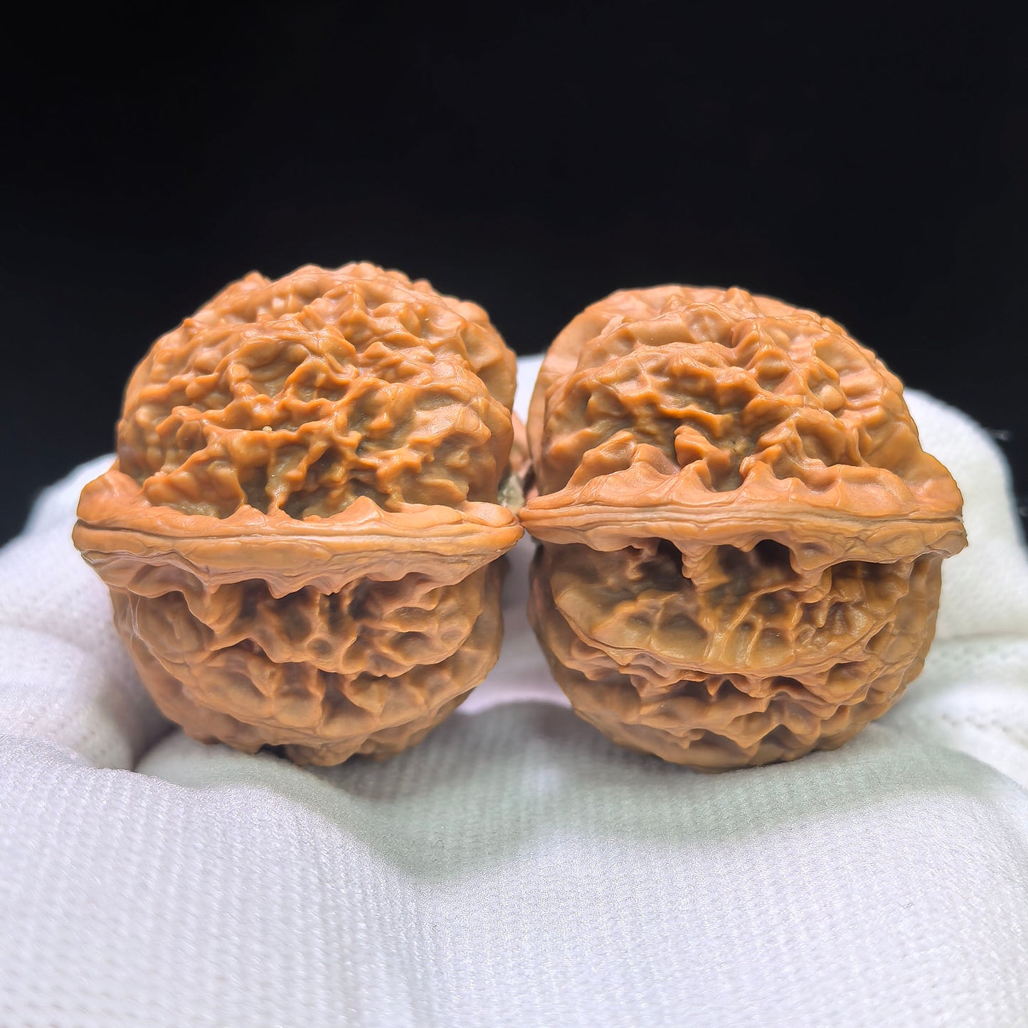 "Palace Lantern Flying Snake Turtle Back" Gdfsgb-CG219E Wenwan Walnuts Pair | 40.0mm x 38.0mm | GDFSGB-CG219E