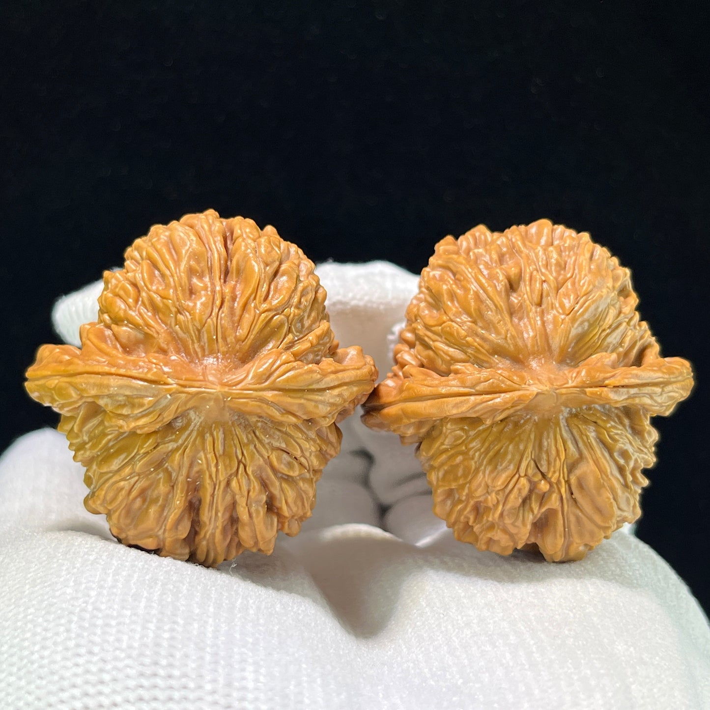 Sizuolou Lion Head (Si Zuo Lou) Scholar Walnuts Pair | 39.0mm x 39.0mm | Stock ID: SZL-1001