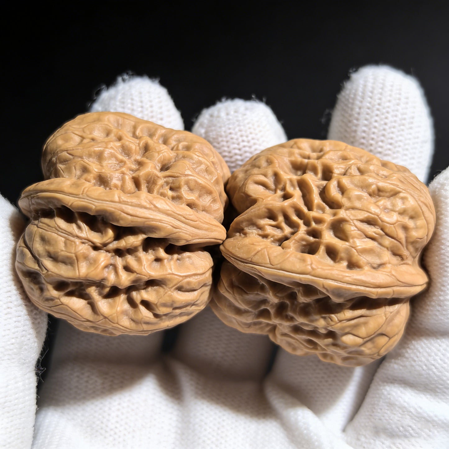 The "Dharma" (Damo) Pair | 35.0mm x 34.0mm | DM-01