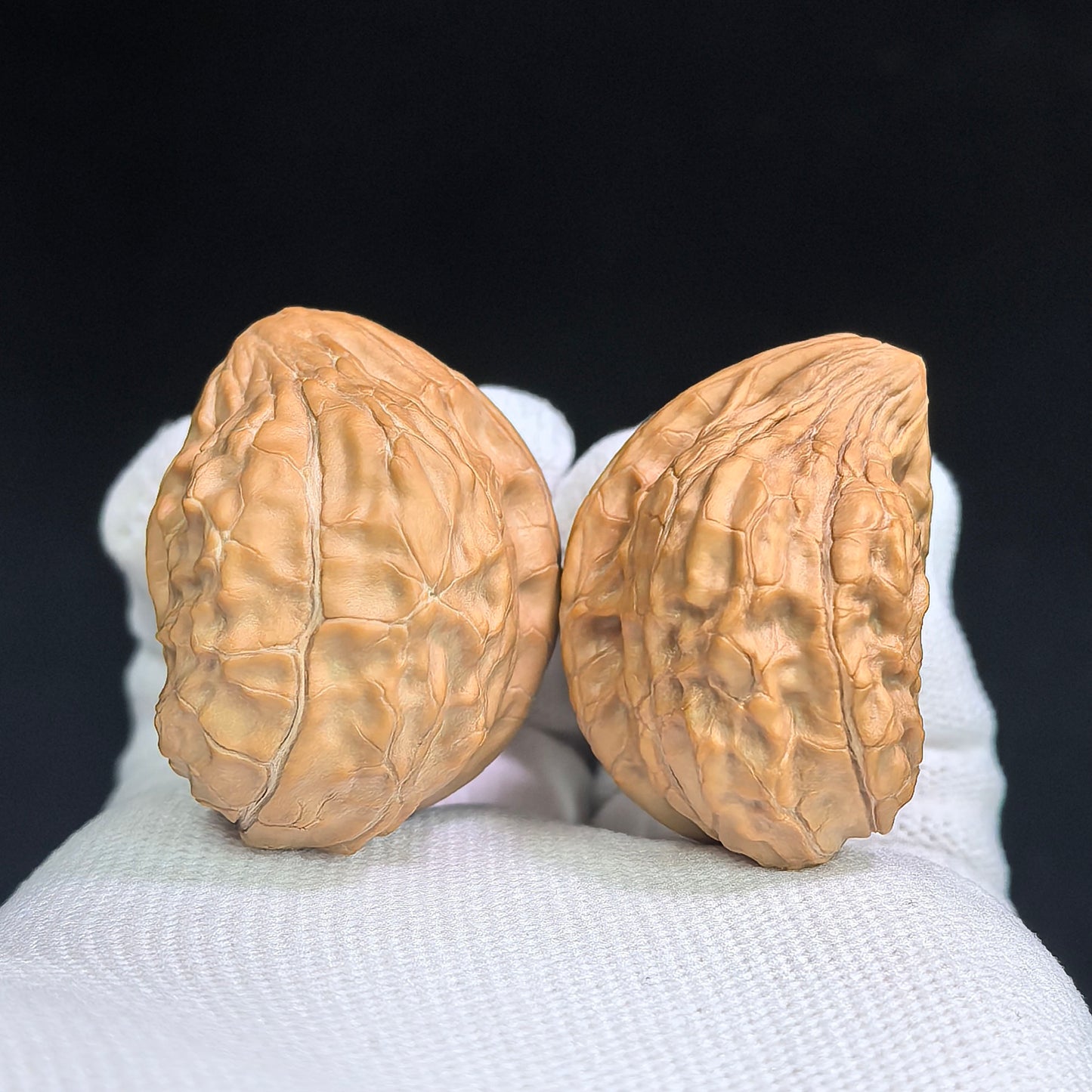 "Tortoise-Shell Hawk-Beak Half-Wall" (Gui Jia Wen Ying Zui Ban Bi) Scholar Walnuts Pair | Same-Fruit Biological Twin Pair | 26.0mm x 35.0mm | Miniature Pocket Format (Shou Nian) | Stock ID: GJW-SY1B7
