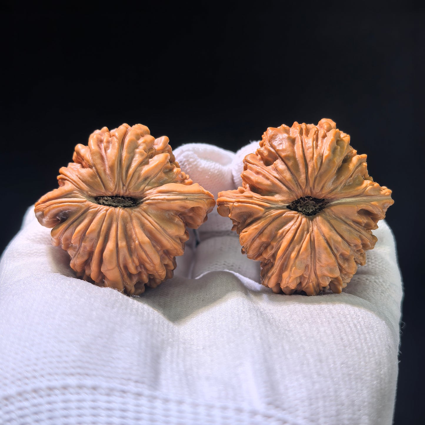The "Si Zuo Lou" Lion's Head Pair | 40.0mm x 41.0mm | SZL-601