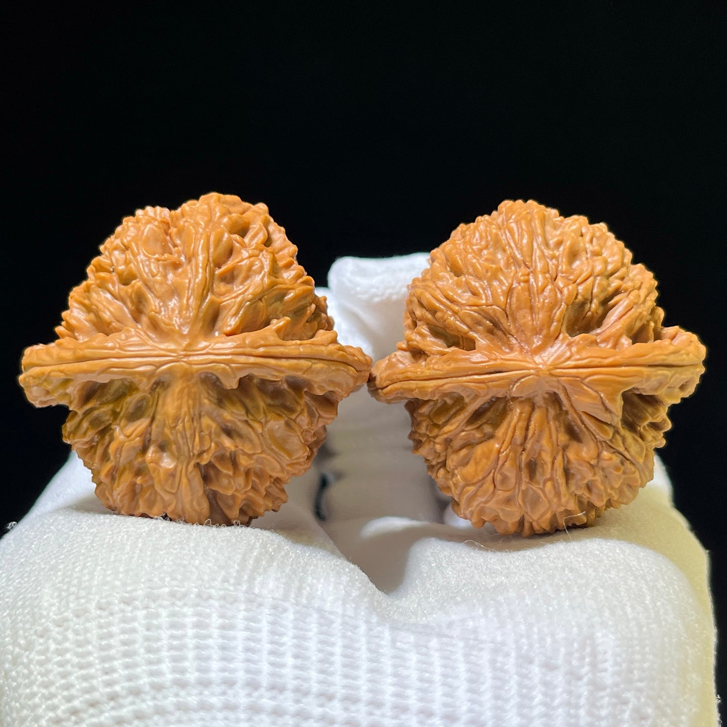 White Lion Head (Bai Shi Zi) Scholar Walnuts Pair | 40.0mm x 40.0mm | Stock ID: BSZ-1102
