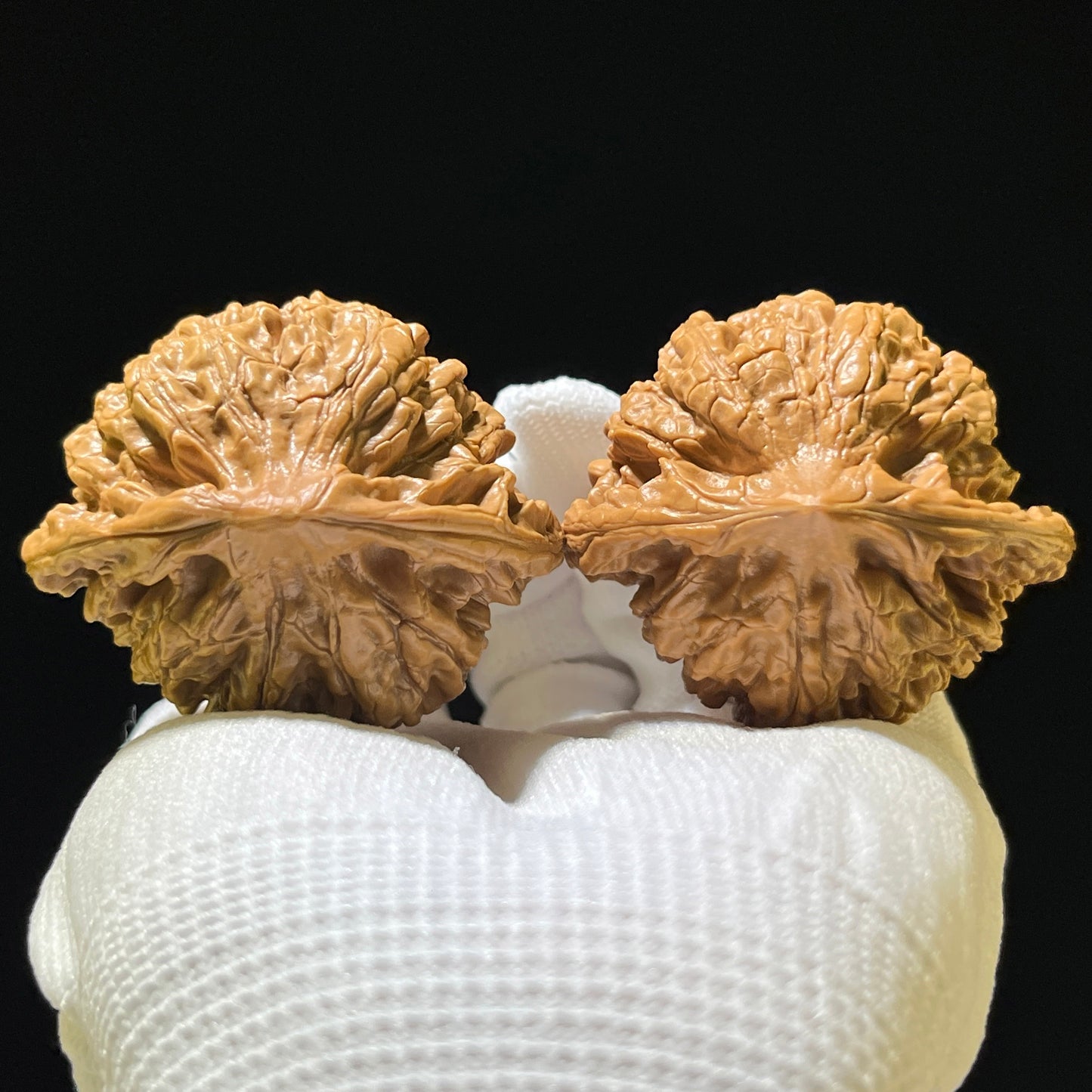 The "Grand Official's Hat" (Da Guan Mao) Colossal Behemoth | 51.0mm x 45.0mm | DGM-1201C