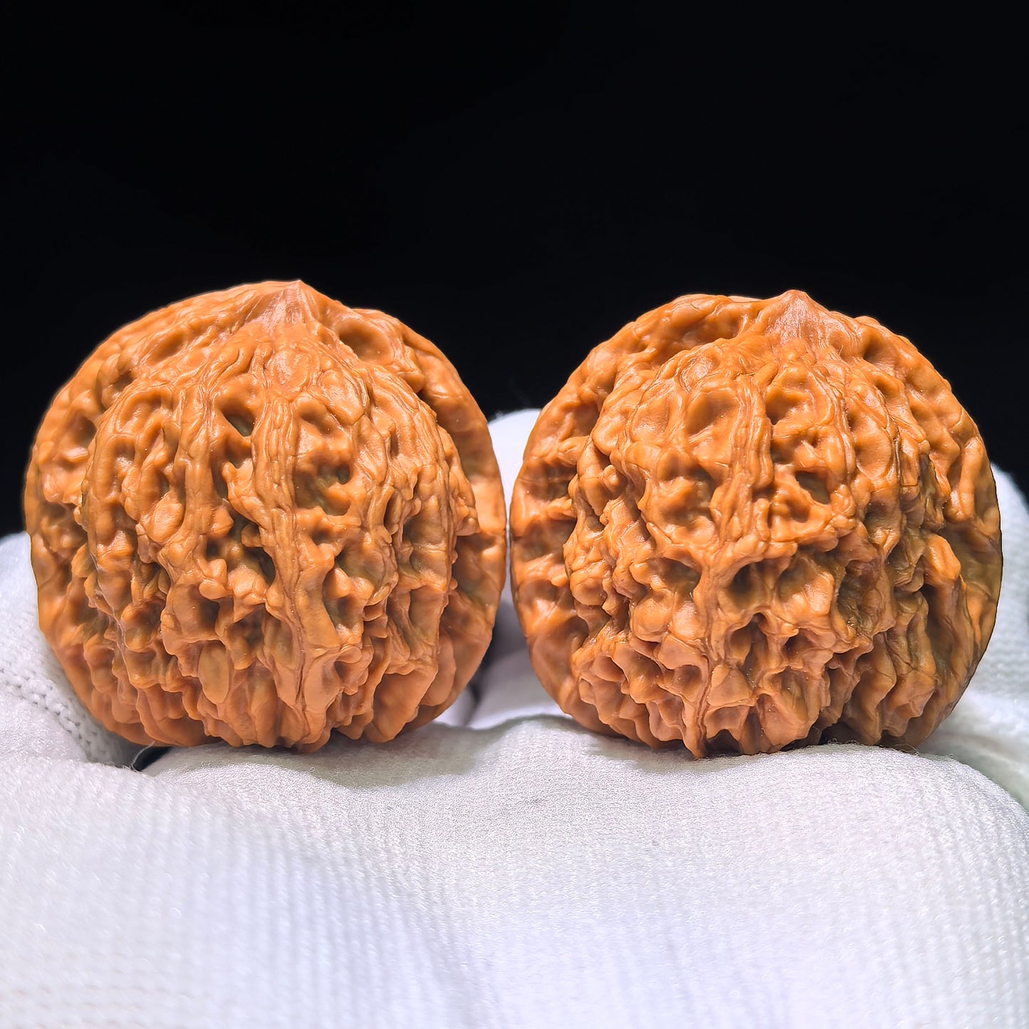 The Legendary "Taotie Motif" Taotiewen Masterpiece | 39.0mm x 37.0mm | TTW-1201C