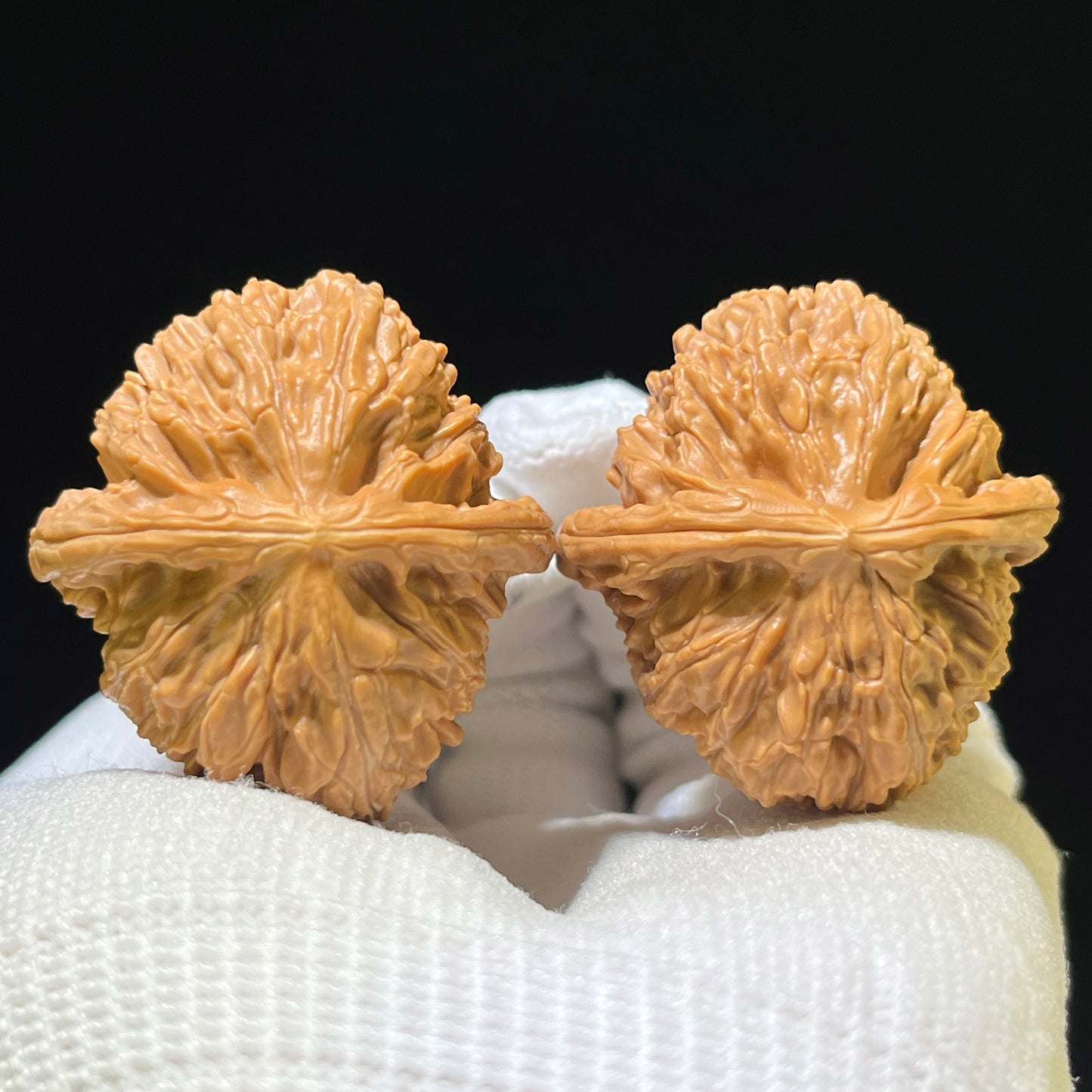 White Lion Head (Bai Shi Zi) Scholar Walnuts Pair | 36.0mm x 38.0mm | Compact Deep-Belly Format | Stock ID: BSZ-1103
