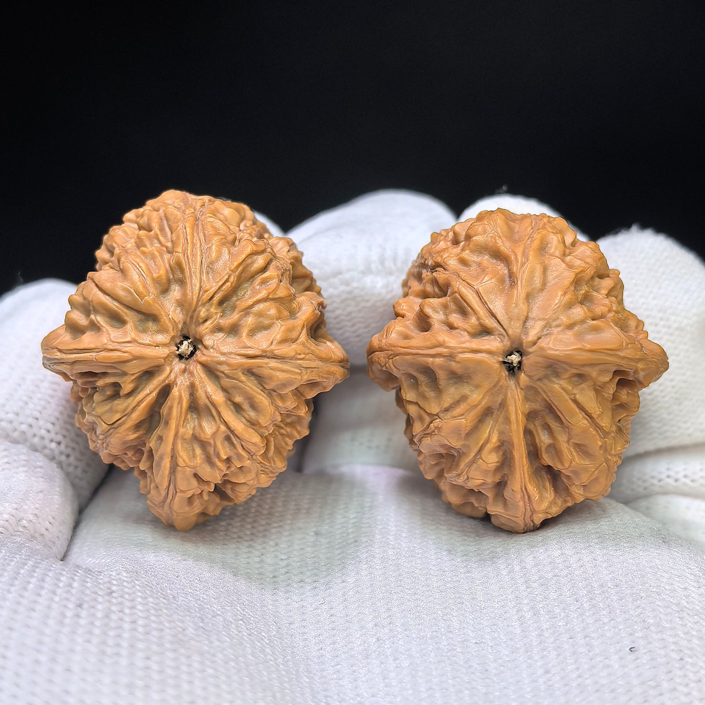 "Rainflower Stone Three-Ribbed" Yuhuashi Sanleng Multi-Ribbed Wenwan Walnuts Pair | 31.0mm x 34.0mm | YHSSN-C222E