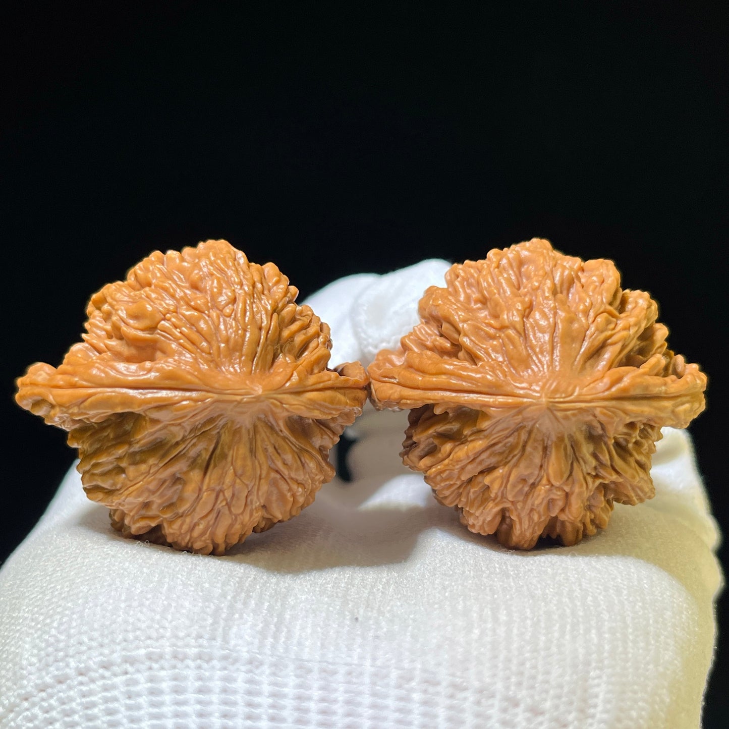 "Wheat Ear Tiger Head" Maisui Hutou Wenwan Walnuts (Pair) | 41.0mm x 37.0mm | Stock ID: MSHT-1109