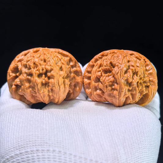 The "Hidden Tip White Lion" (Menjian Baishizi) Matched Pair | 47.0mm x 46.0mm | BSZ-1202C