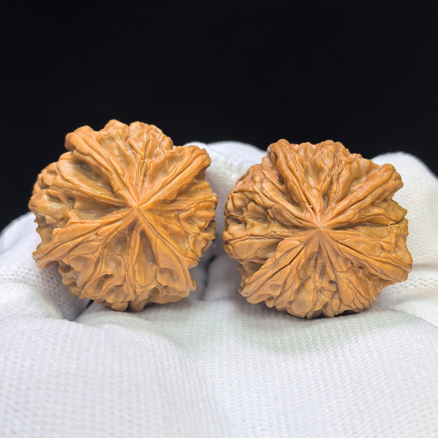 "Imperial Jade Seal X-Men" Yuxi Sileng X-Zhanjing Four-Ribbed Wenwan Walnuts Pair | 36.0mm x 36.0mm | YSFN-C226E