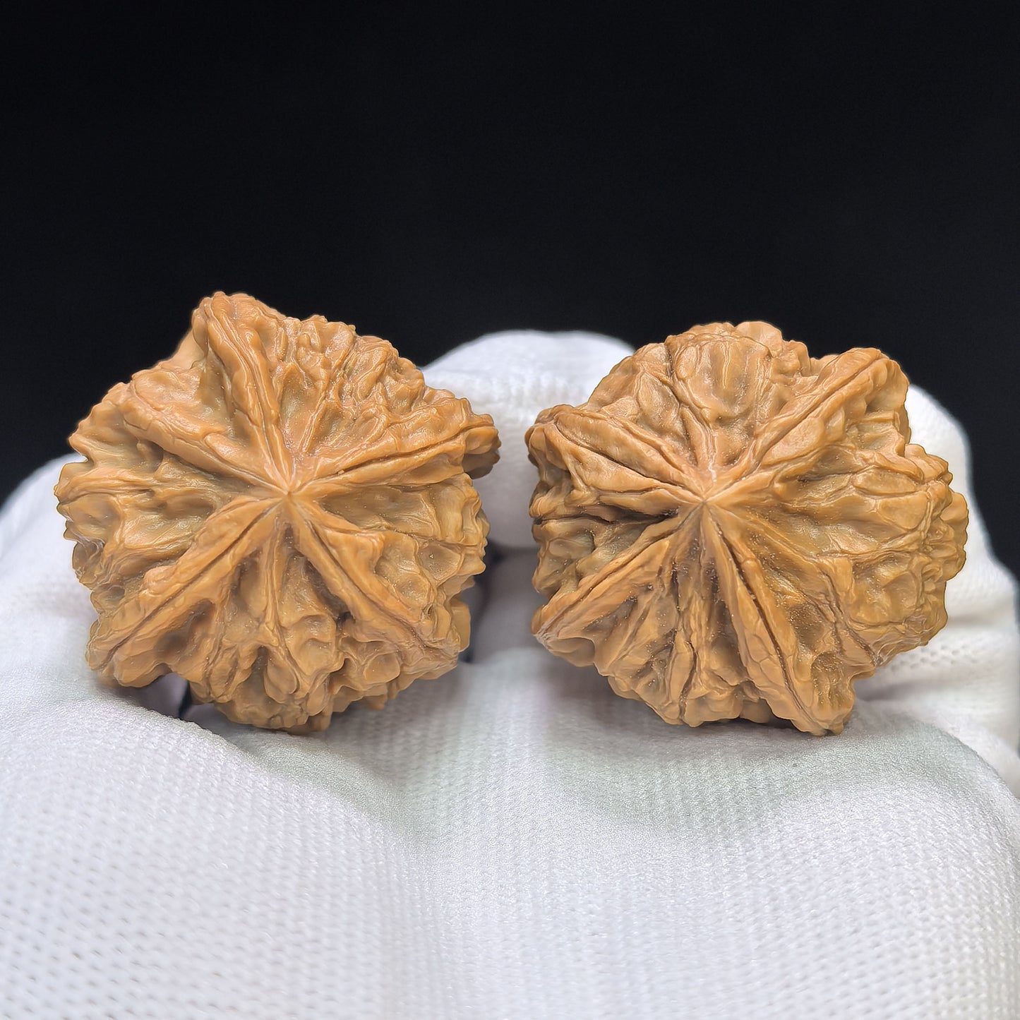 "Imperial Jade Seal X-Men" Yuxi Sileng X-Zhanjing Four-Ribbed Wenwan Walnuts Pair | 36.0mm x 38.0mm | YSFN-C2210E