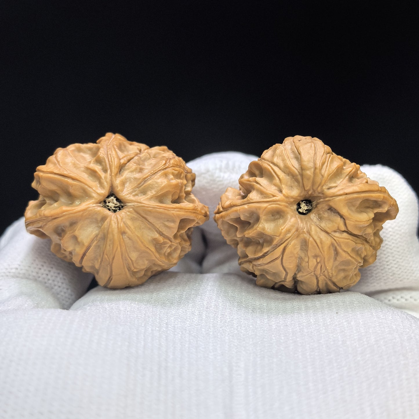 "Imperial Jade Seal Horizontal Cross" Yuxi Sileng Hengshizi Four-Ribbed Wenwan Walnuts Pair | 31.0mm x 36.0mm | YSFN-C2211E