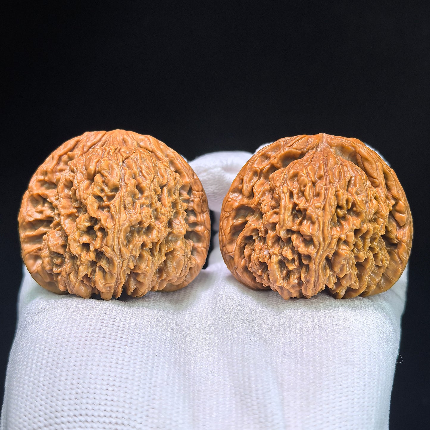 The "Nanjiang King" (Zhu Lu Nan Jiang Wang) Museum-Grade Giant Deep-Belly Pair | 48.0mm x 43.0mm | 100% Pristine & Unrepaired | BSJ-1351C