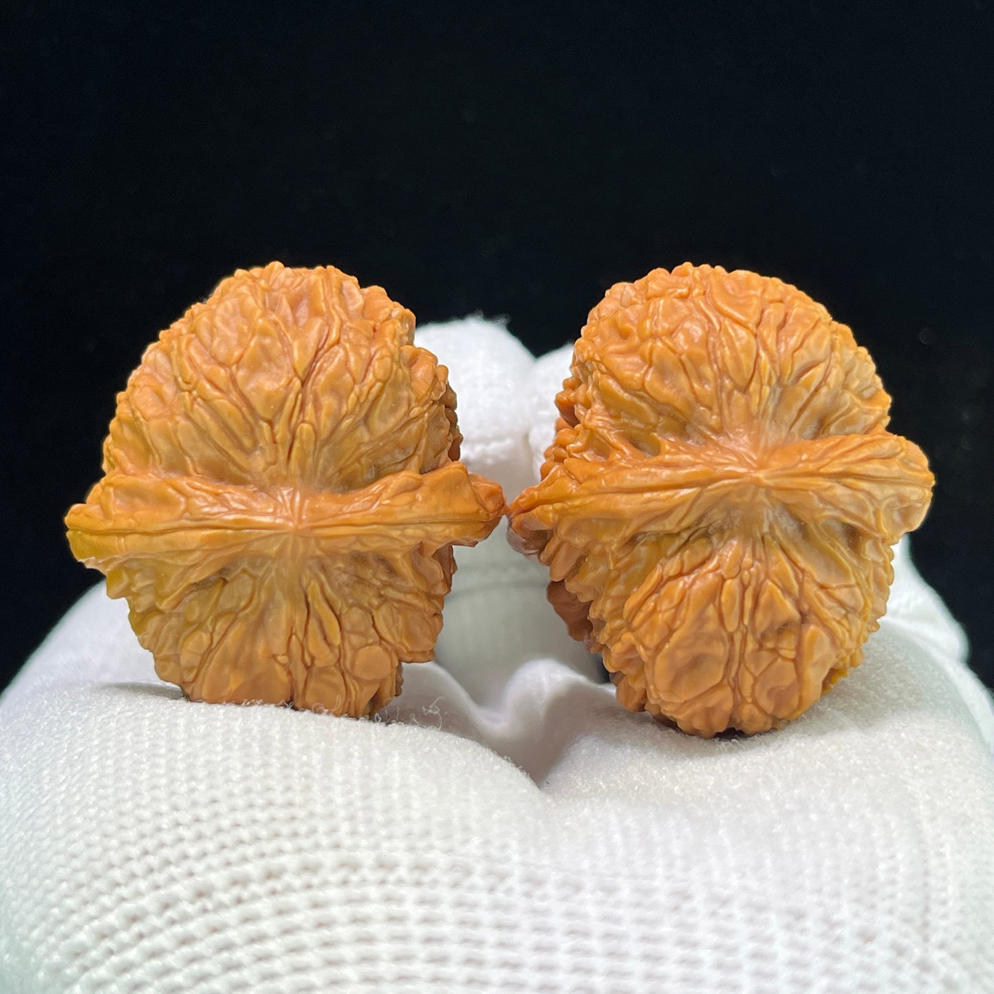 The "Imperial Dragon Pearl" (Long Zhu) Premium Miniature Scholar Walnuts | 33.0mm x 36.0mm | Deep-Belly Pocket Format | LZ-1001