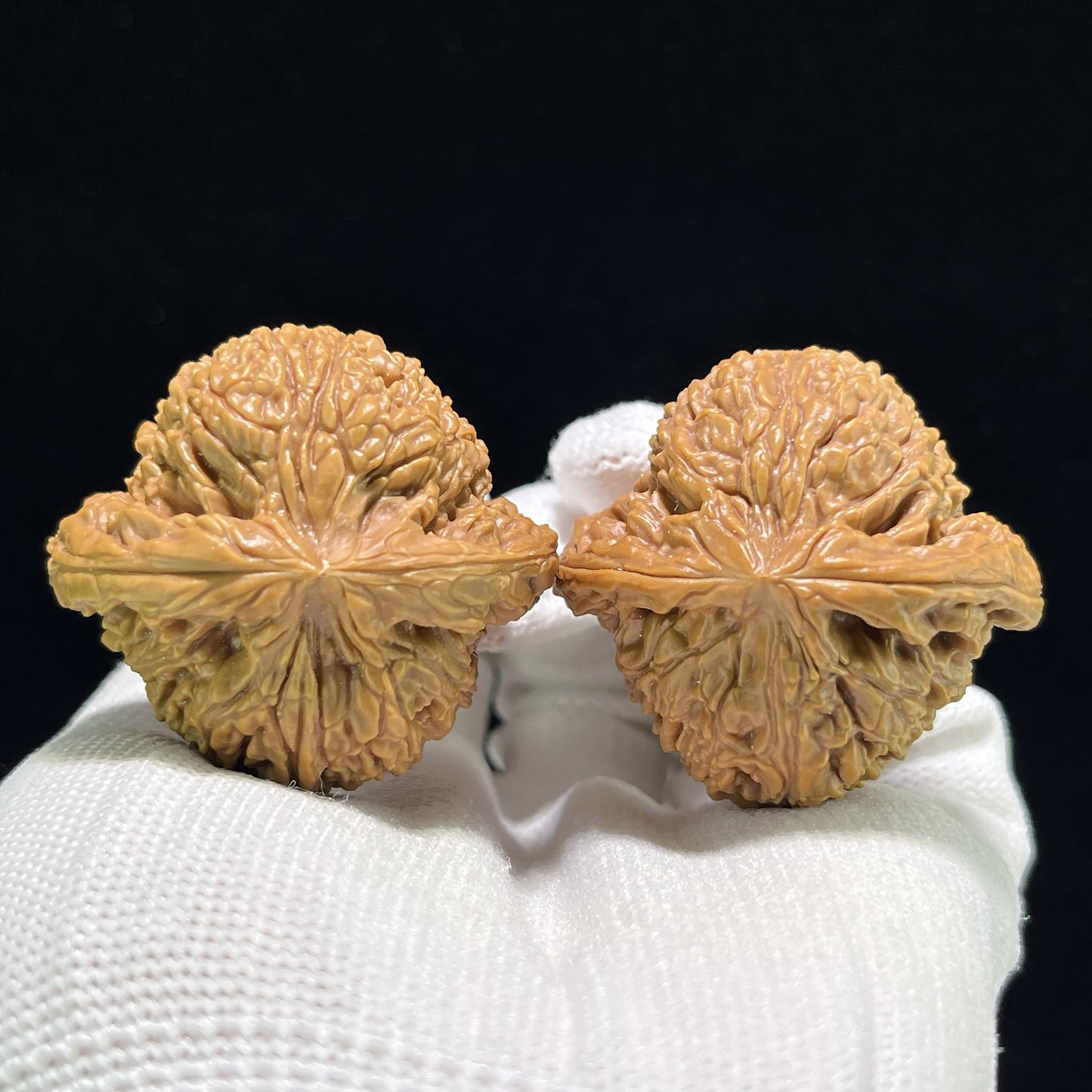 The "Nanjiang Stone" (Nan Jiang Shi) Ergonomic Giant Pair | 40.0mm x 38.0mm | NJS-903