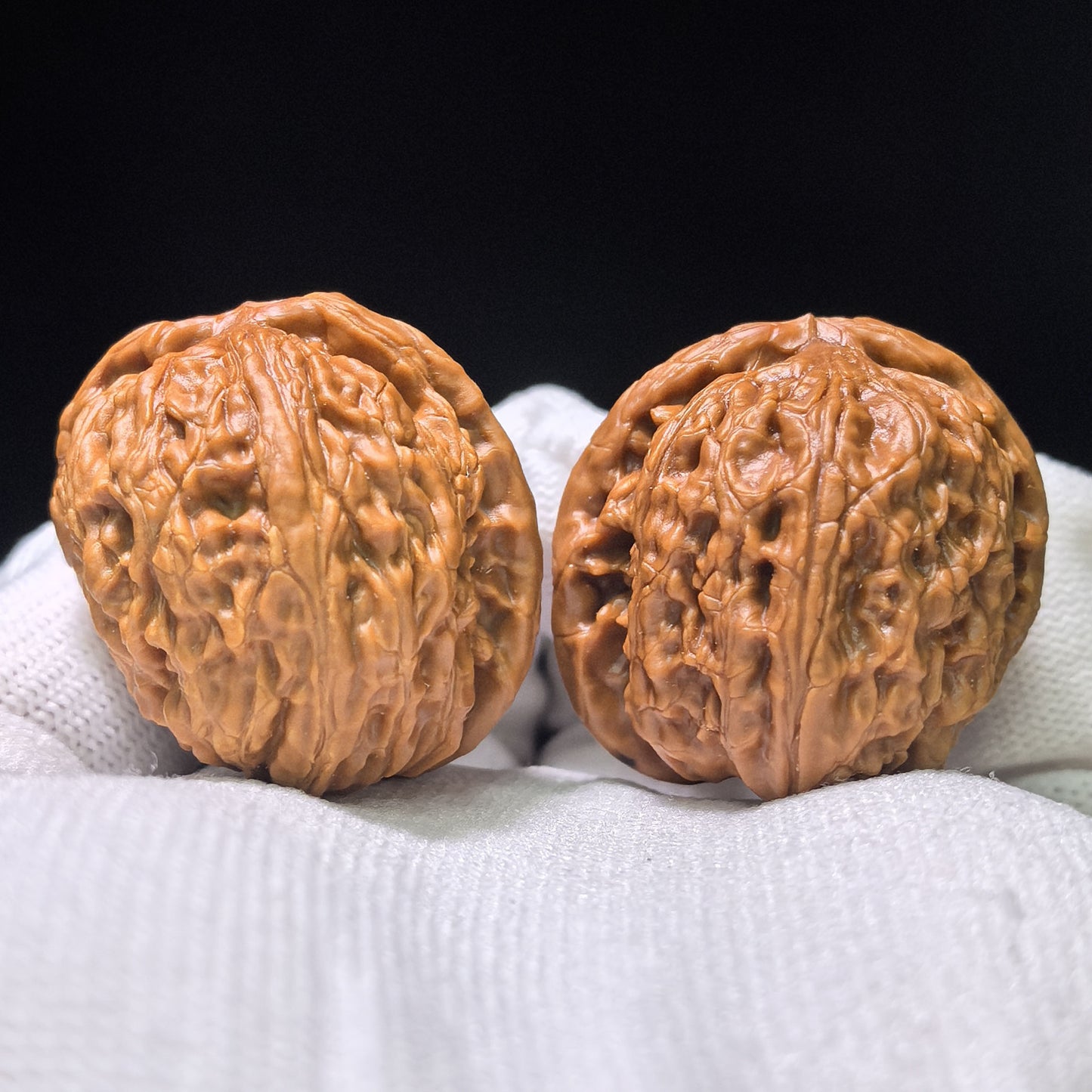 The Spectacular "White Lion Head Half-Wall" Baishizi Banbi Pocket Masterpiece | 34.0mm x 35.0mm | BSJBB-402E