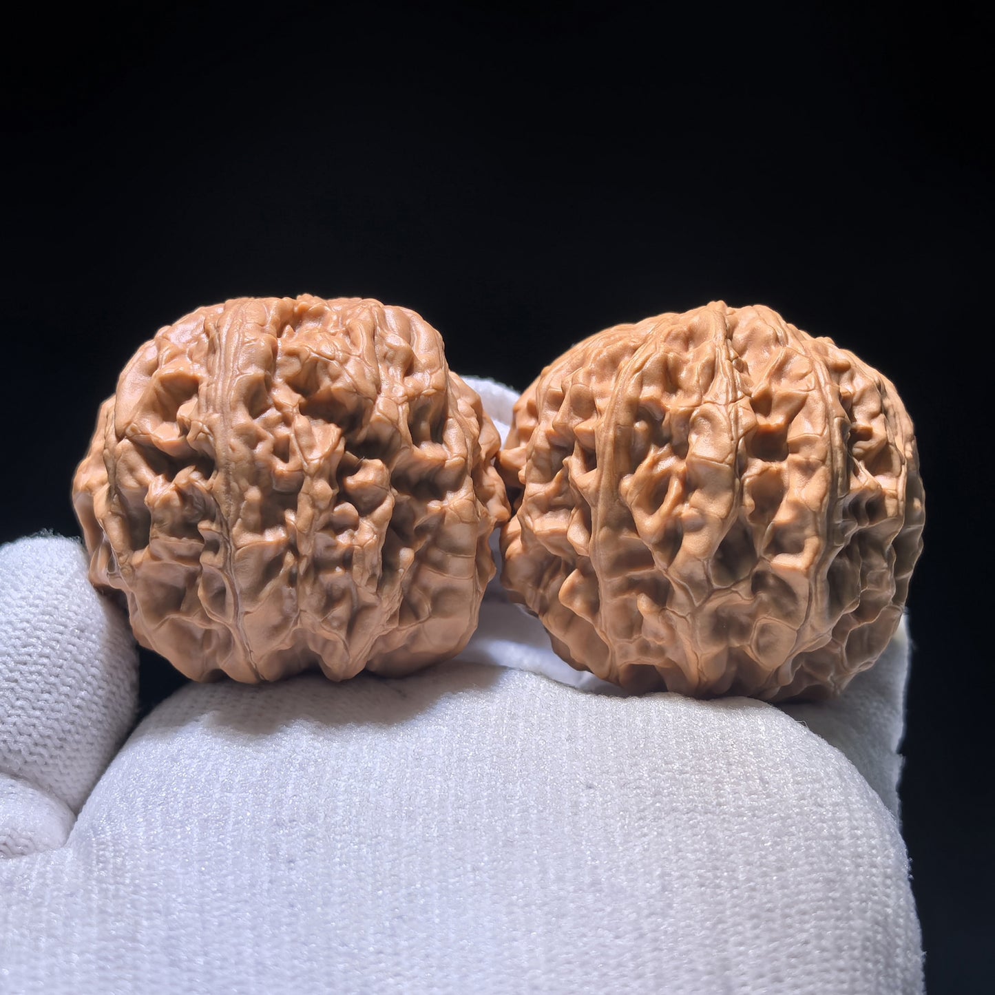 The "Big Ridge" Snake-Head Treasure Basin (Ju Bao Pen) | 40.0mm x 33.0mm | CJST-1201E