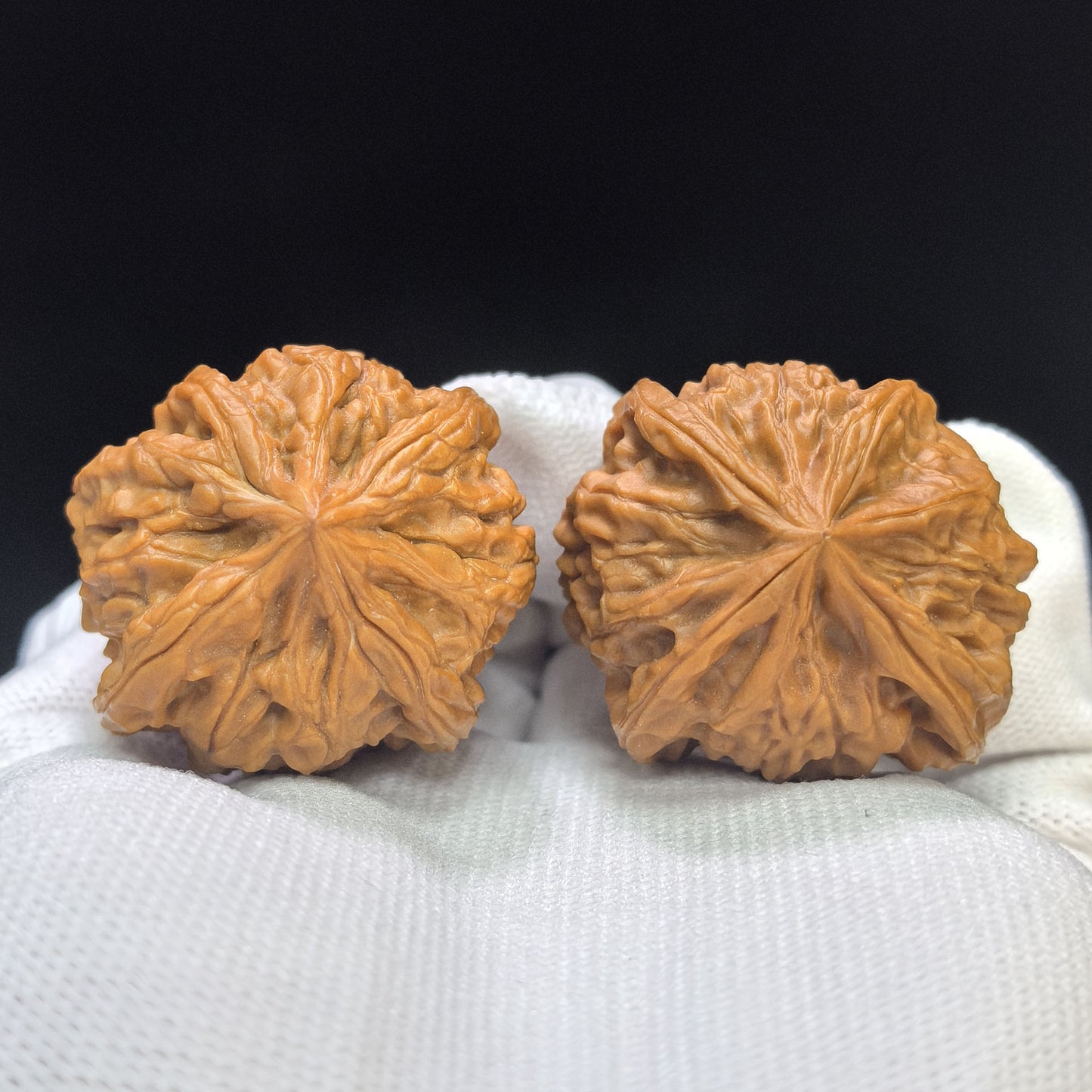 "Imperial Jade Seal X-Men" Yuxi Sileng X-Zhanjing Four-Ribbed Wenwan Walnuts Pair | 36.0mm x 39.0mm | YSFN-C228E
