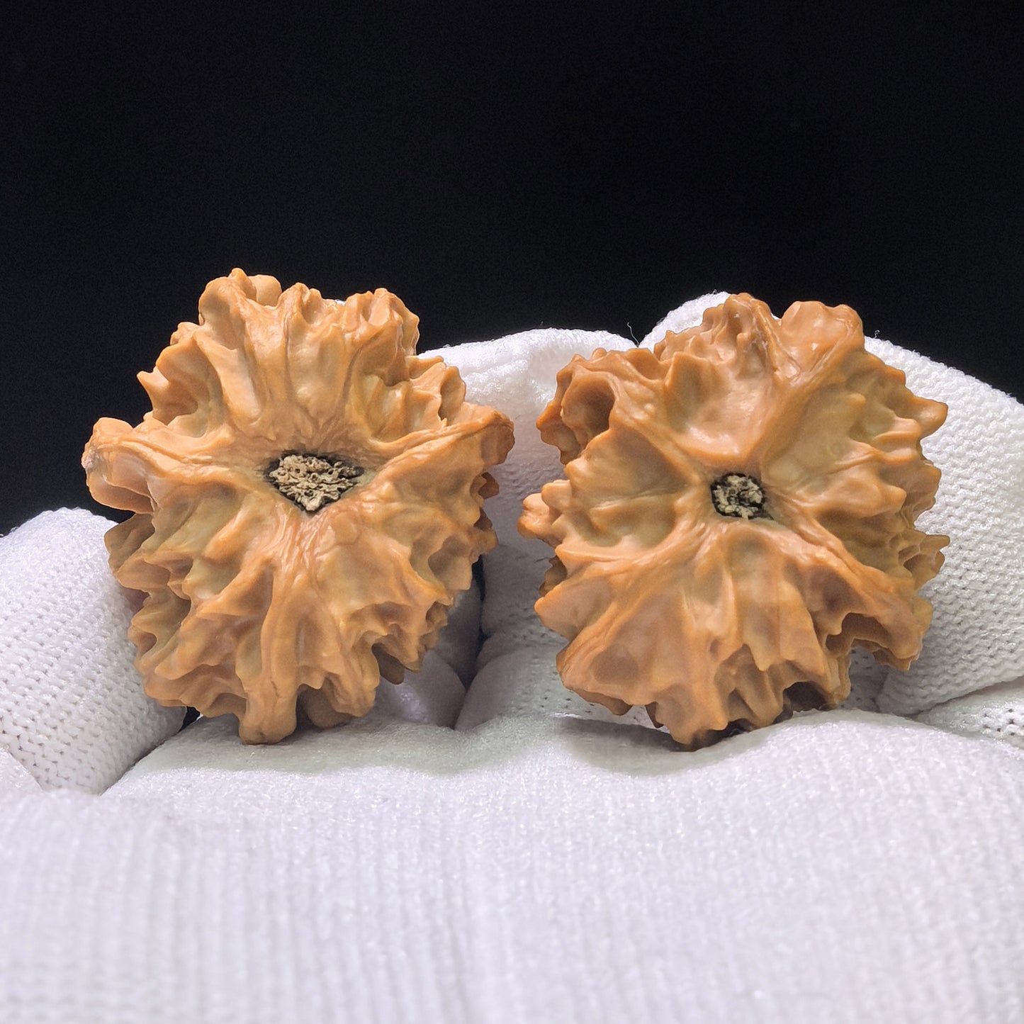 The Eternal „Qishan Lifetime Devotion“ Qishan Yishengyishi Pocket Mutation | 31.0mm x 34.0mm | QSYSYS-401E