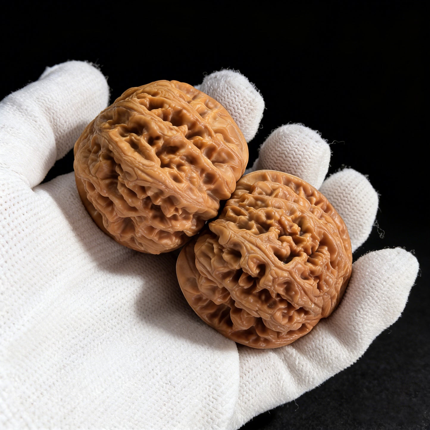 The "Tendon Vein" (Cujin) Pair | 42.0mm | CJ-01