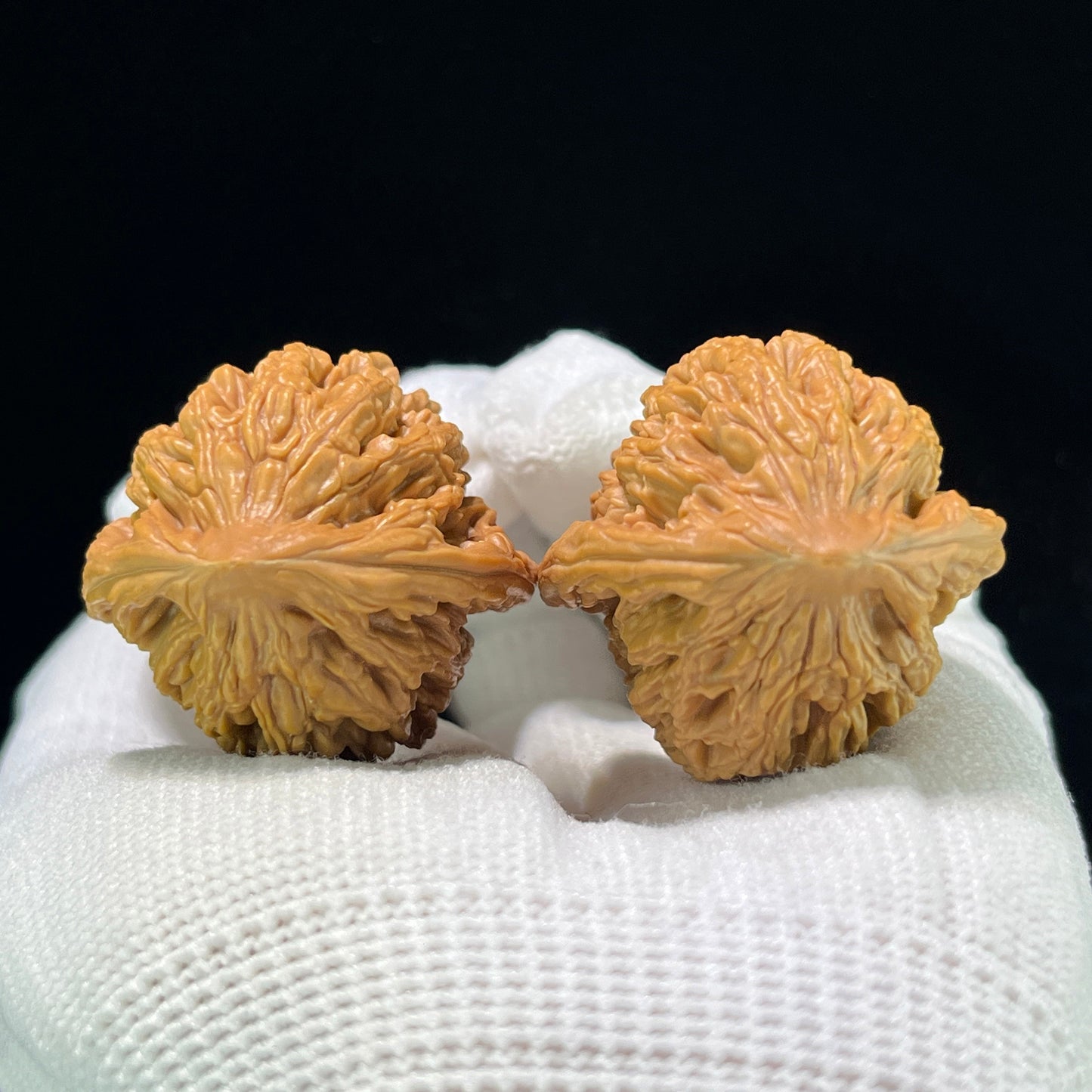 Mai Sui Hu Tou (Wheat Ear Tiger Head) Scholar Walnuts Pair | 33.0mm x 33.0mm | Stock ID: MSHT-1003