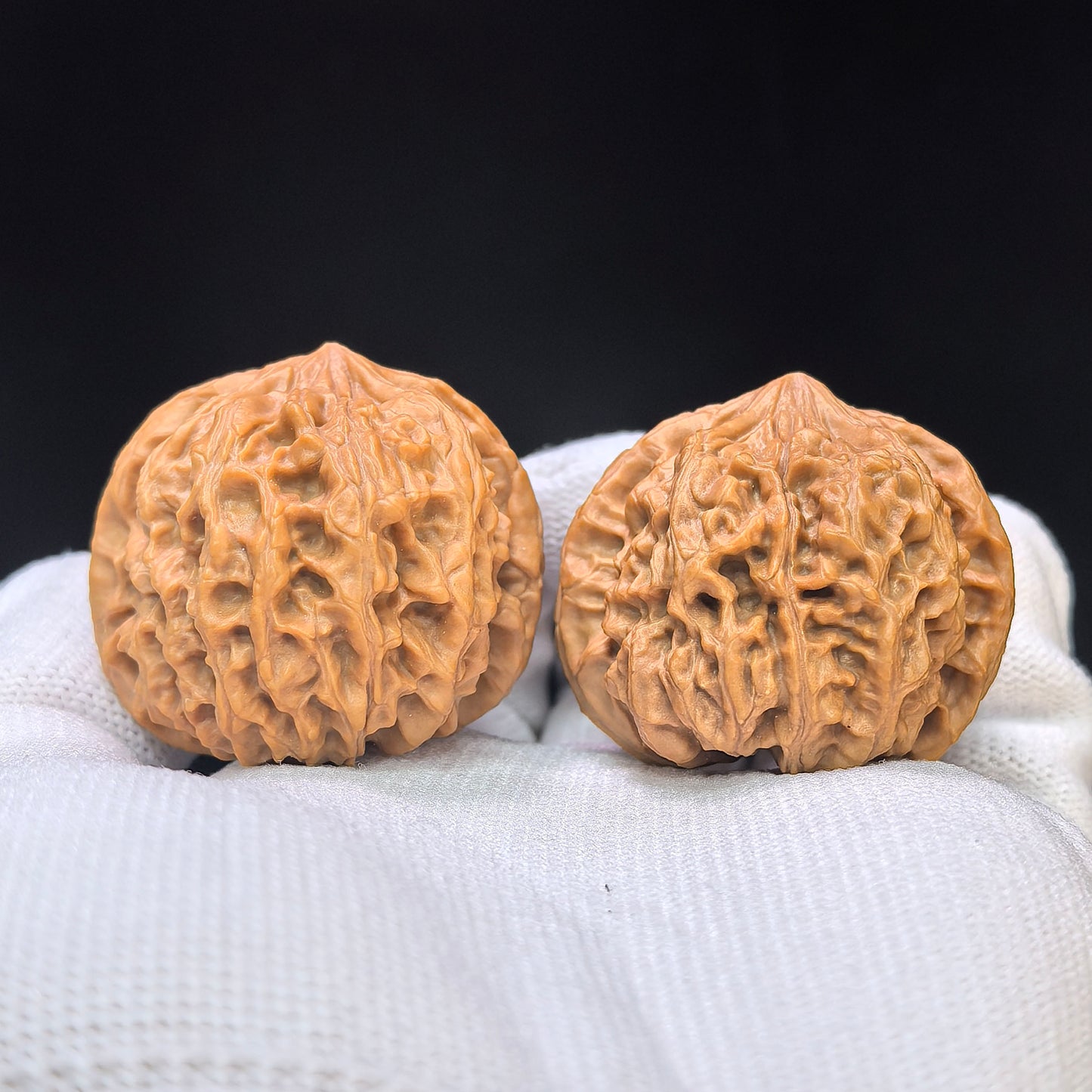 "Star Lotus Lionhead" (Xing Lian Shi Tou) Scholar Walnuts Pair | 37.0mm x 35.0mm | Low-Profile Sacred Radiant Base | Collector Grade Masterpiece | Stock ID: WM-SY1B6