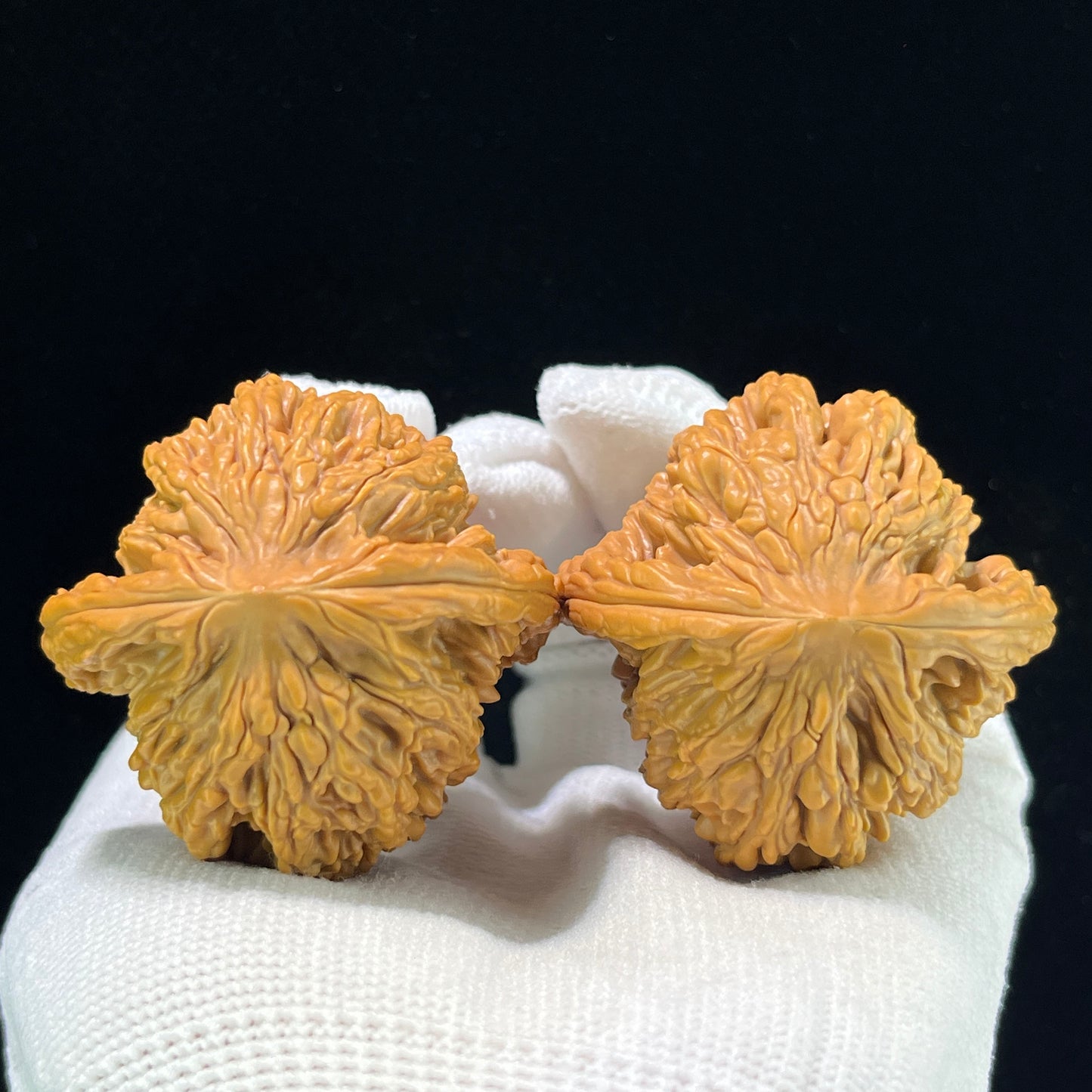 The "Golden Wheat Ear" Tiger Head (Mai Sui Hu Tou) Premium Collector's Pair | 44.0mm x 44.0mm | 1:1 Perfect Isometric Standard | MSHT-1002