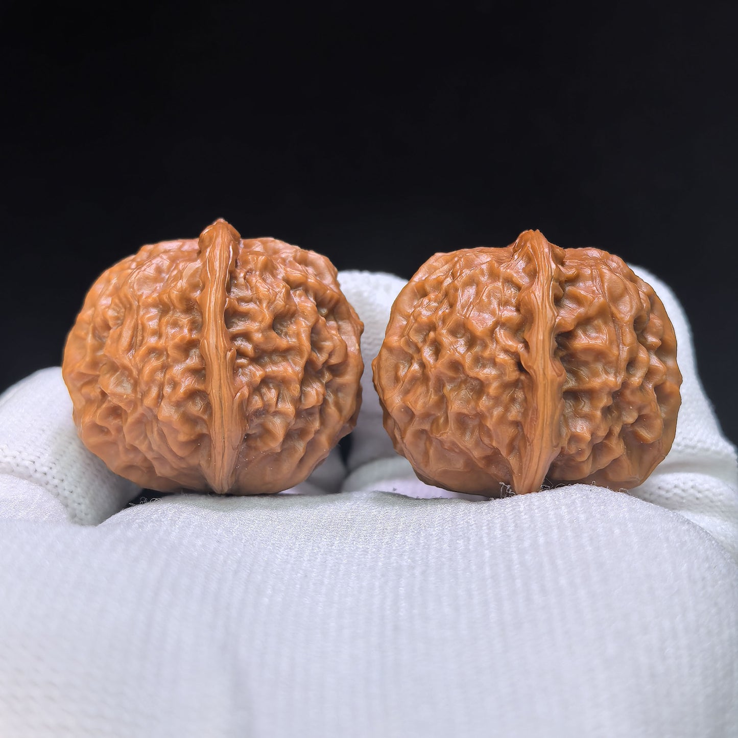 "Pocket Porcelain Doll" Miniature Ciwawa Wenwan Walnuts (Pair) | 34.0mm x 35.0mm | Stock ID: CWW-1506C