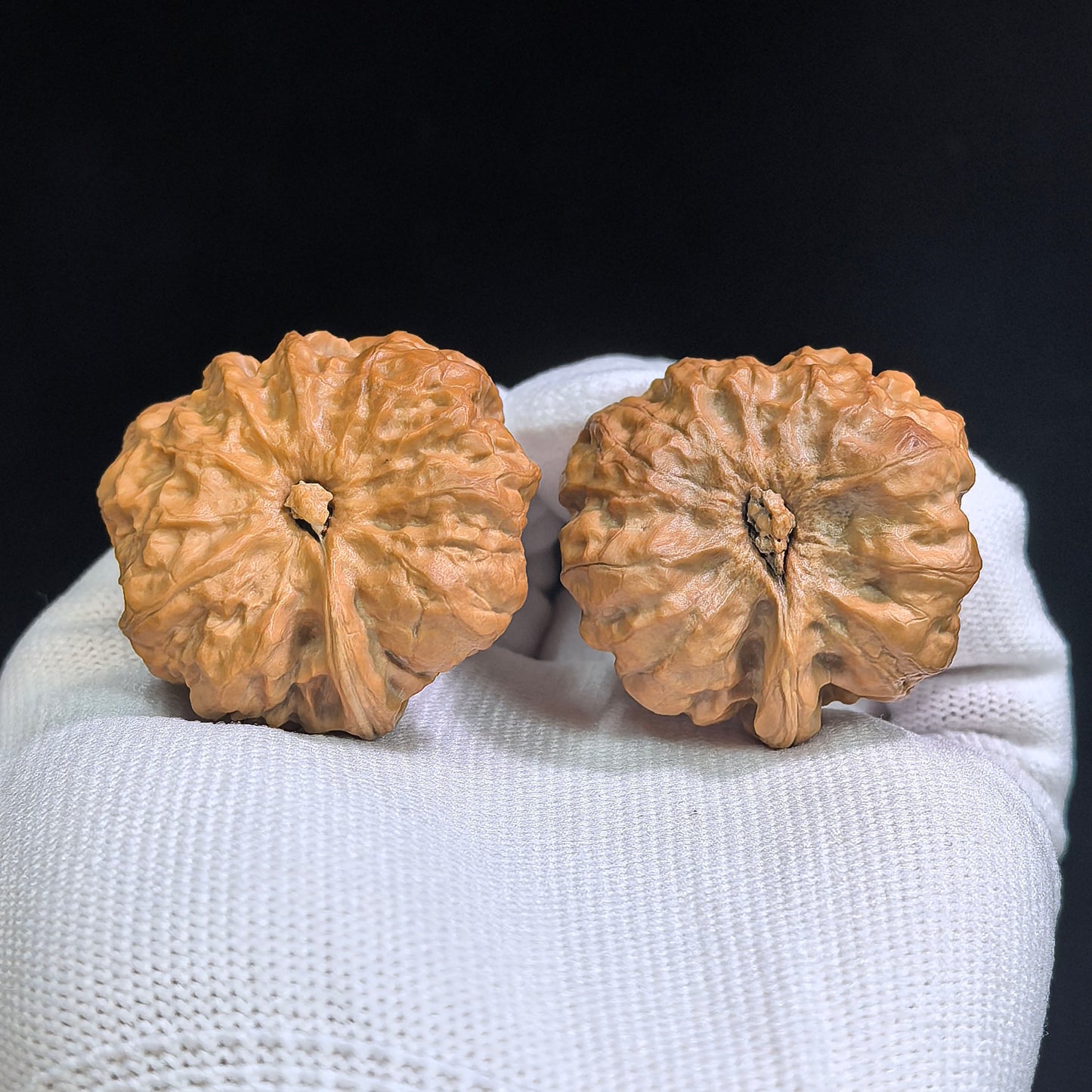 "Squatting Toad Smooth Sailing" (Wa Yifan / Hama Dun) Scholar Walnuts Pair | 33.0mm x 36.0mm | Deep-Belly Pocket Stance | Collector Grade E | Stock ID: WFN-SY1B5