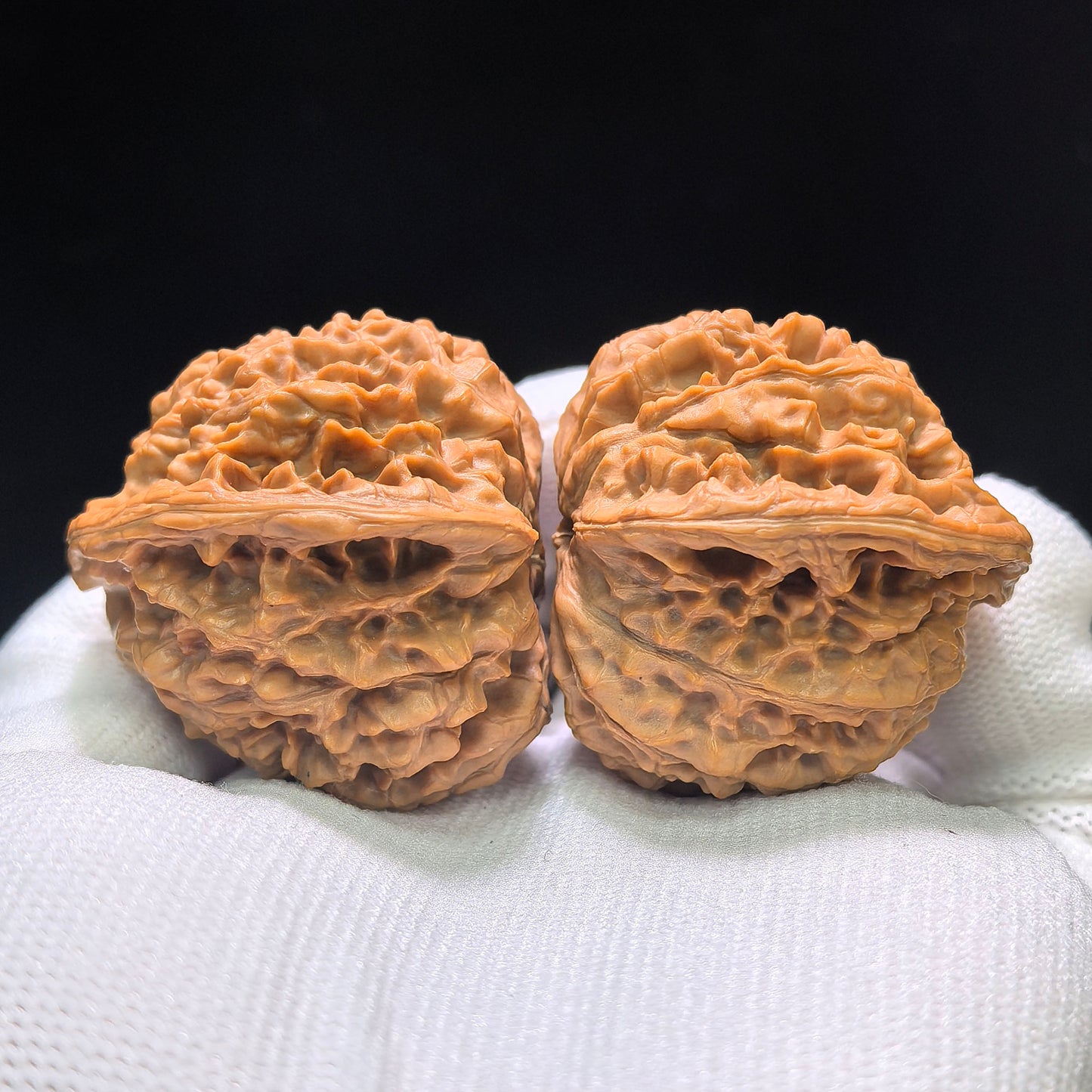 "Golden Kylin Hawk Beak Vulture" Jinqilin Yingzui Zuoshandiao Wenwan Walnuts Pair | 36.0mm x 39.0mm | JQLYZZSD-CG218E