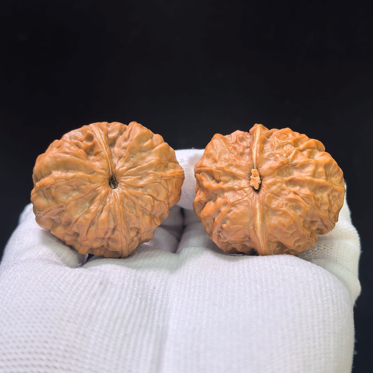 "Toad Head Smooth Sailing" Hamatou Yifan Wenwan Walnuts Pair | 37.0mm x 40.0mm | HMTYF-CG203E