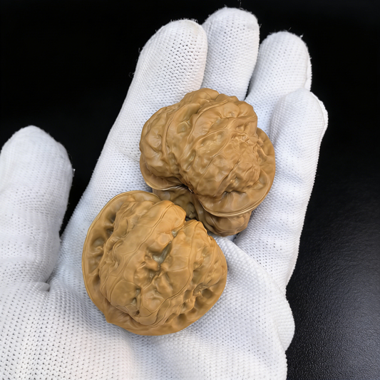 The "Golden Toad" (Ha Ma Tou) – 39mm Wealth Guardian Pair | #HM-71 (Actual Item Pictured)