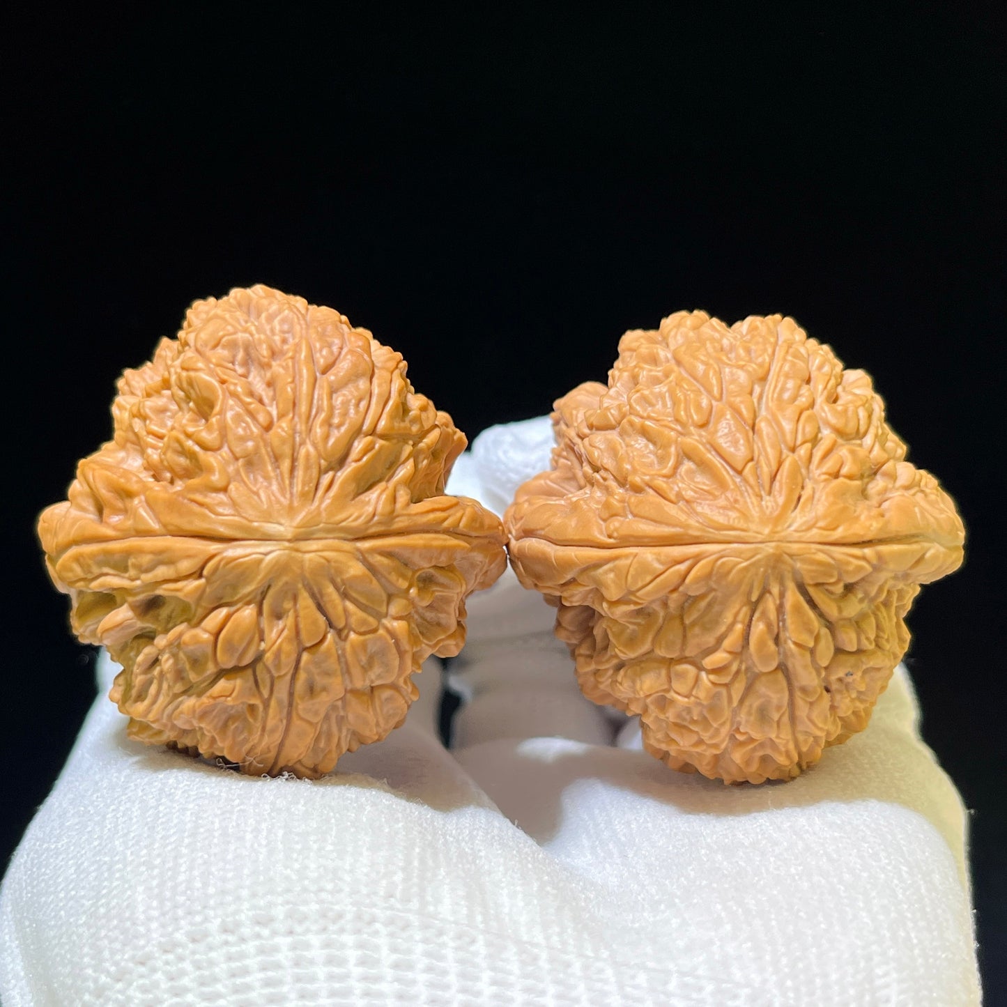 "Blizzard" Baixue Wenwan Walnuts Standard Pair | 41.0mm x 44.0mm | BX-1107